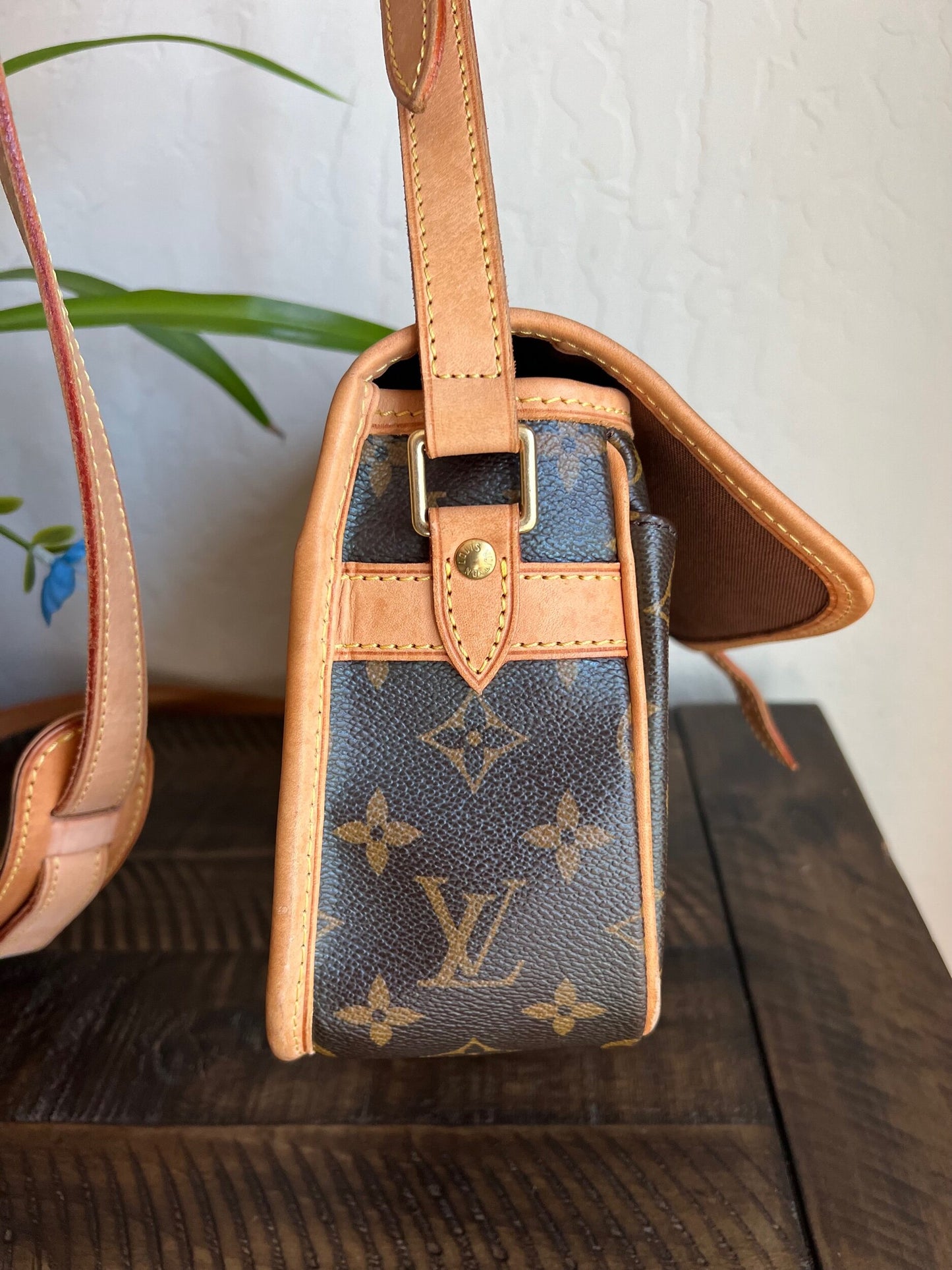 Sologne Adjustable Monogram Canvas Crossbody Bag