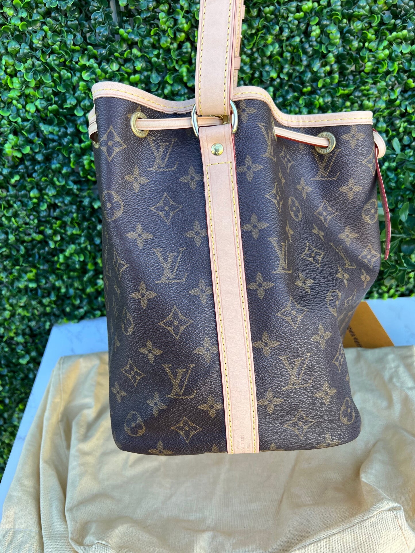 Vintage Petite Noe Monogram