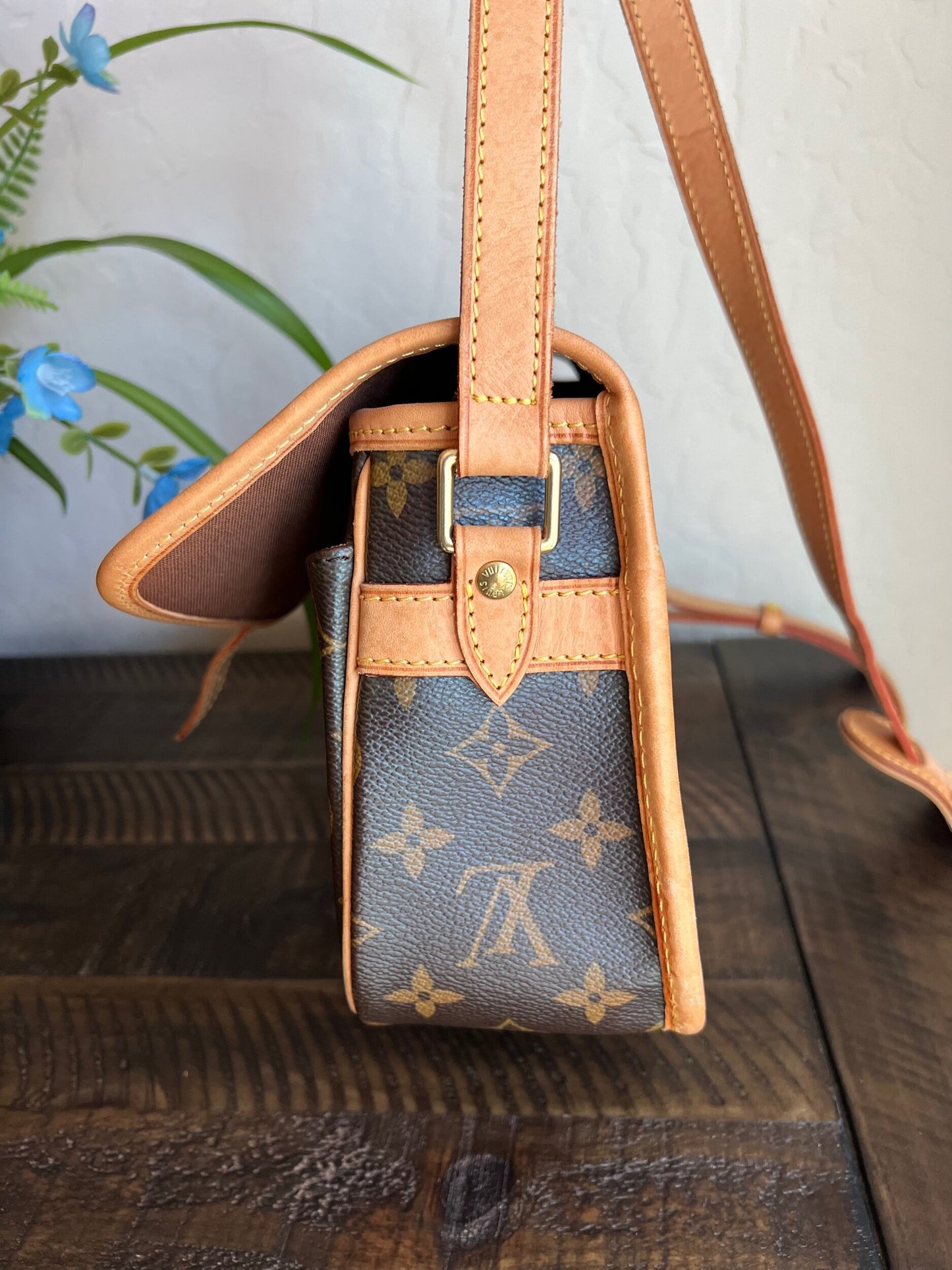 Sologne Adjustable Monogram Canvas Crossbody Bag
