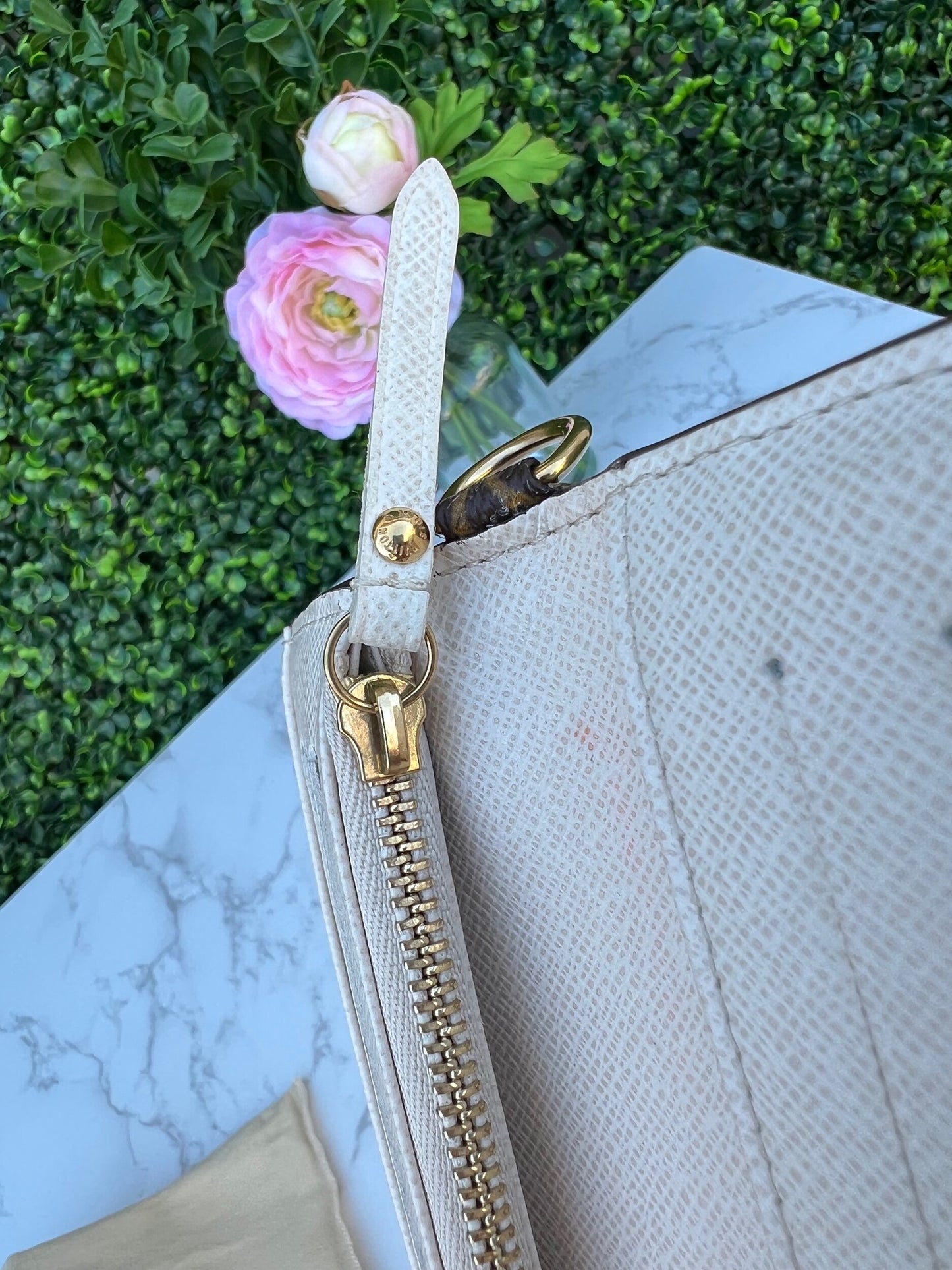 Insolite Monogram Canvas Clutch/Wallet