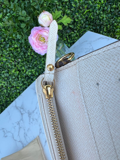 Insolite Monogram Canvas Clutch/Wallet