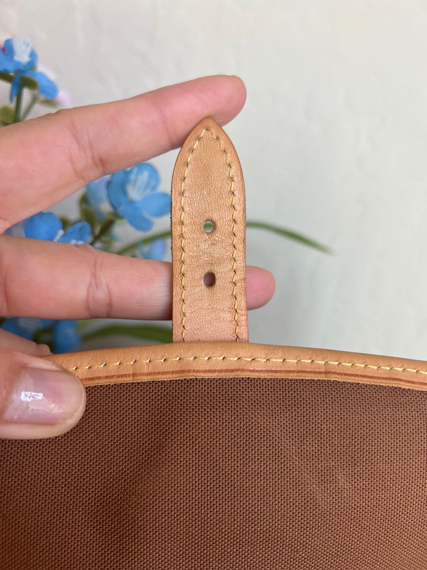 Sologne Adjustable Monogram Canvas Crossbody Bag