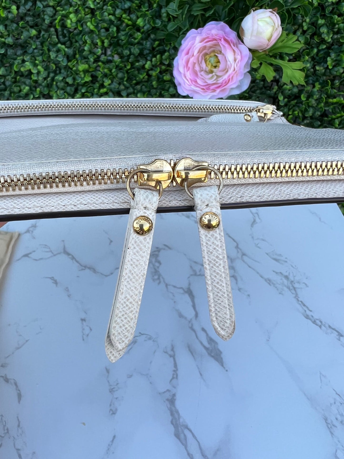 Insolite Monogram Canvas Clutch/Wallet