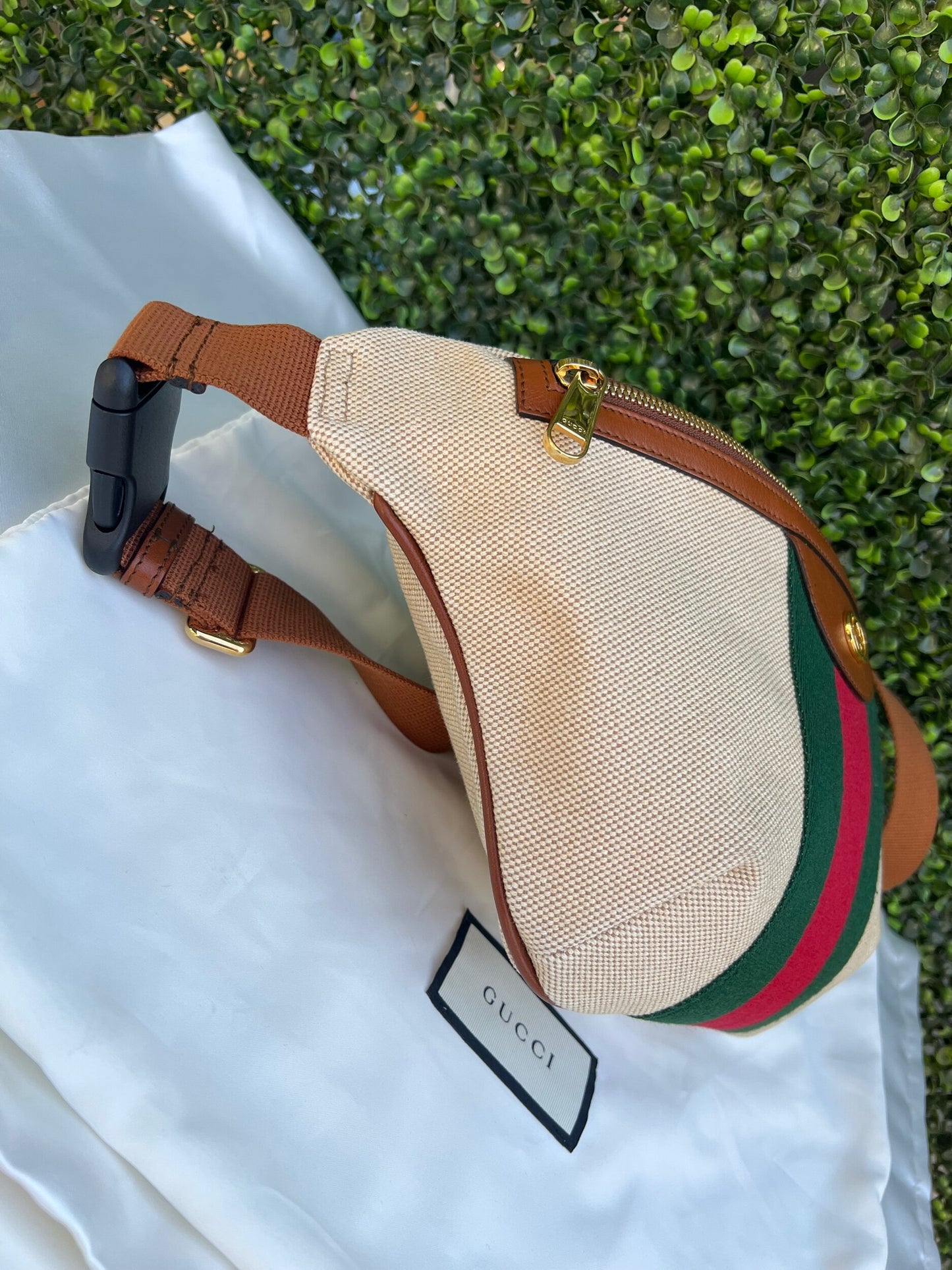 Web Beige Canvas Belt Bag