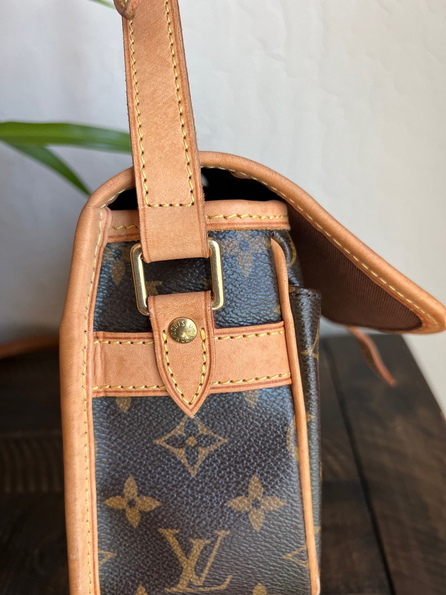 Sologne Adjustable Monogram Canvas Crossbody Bag