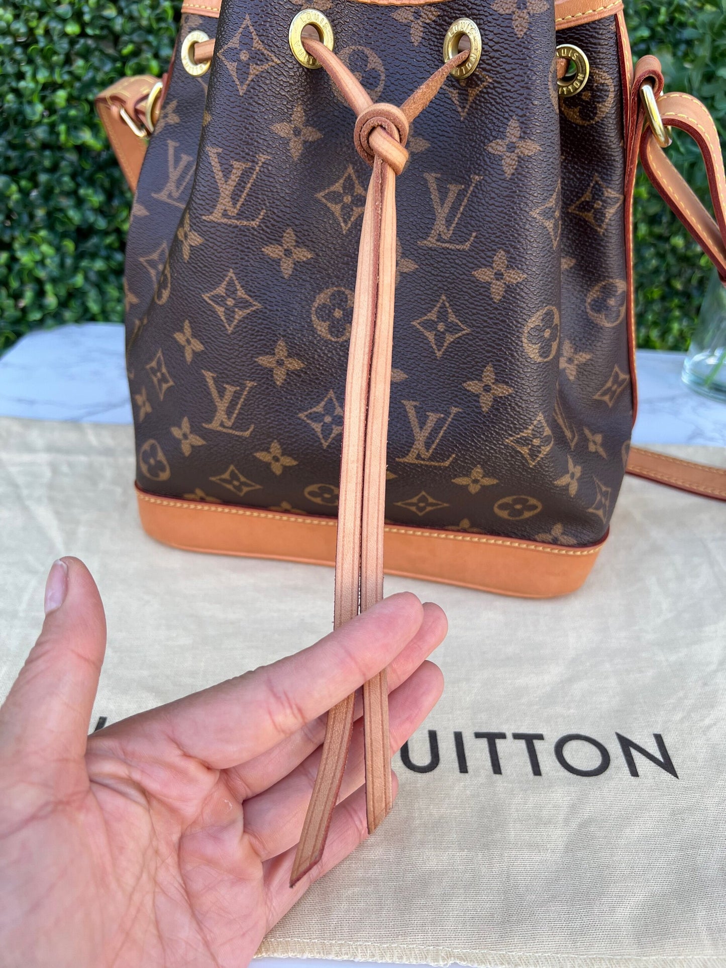 Noe BB Crossbody Monogram Canvas Bag