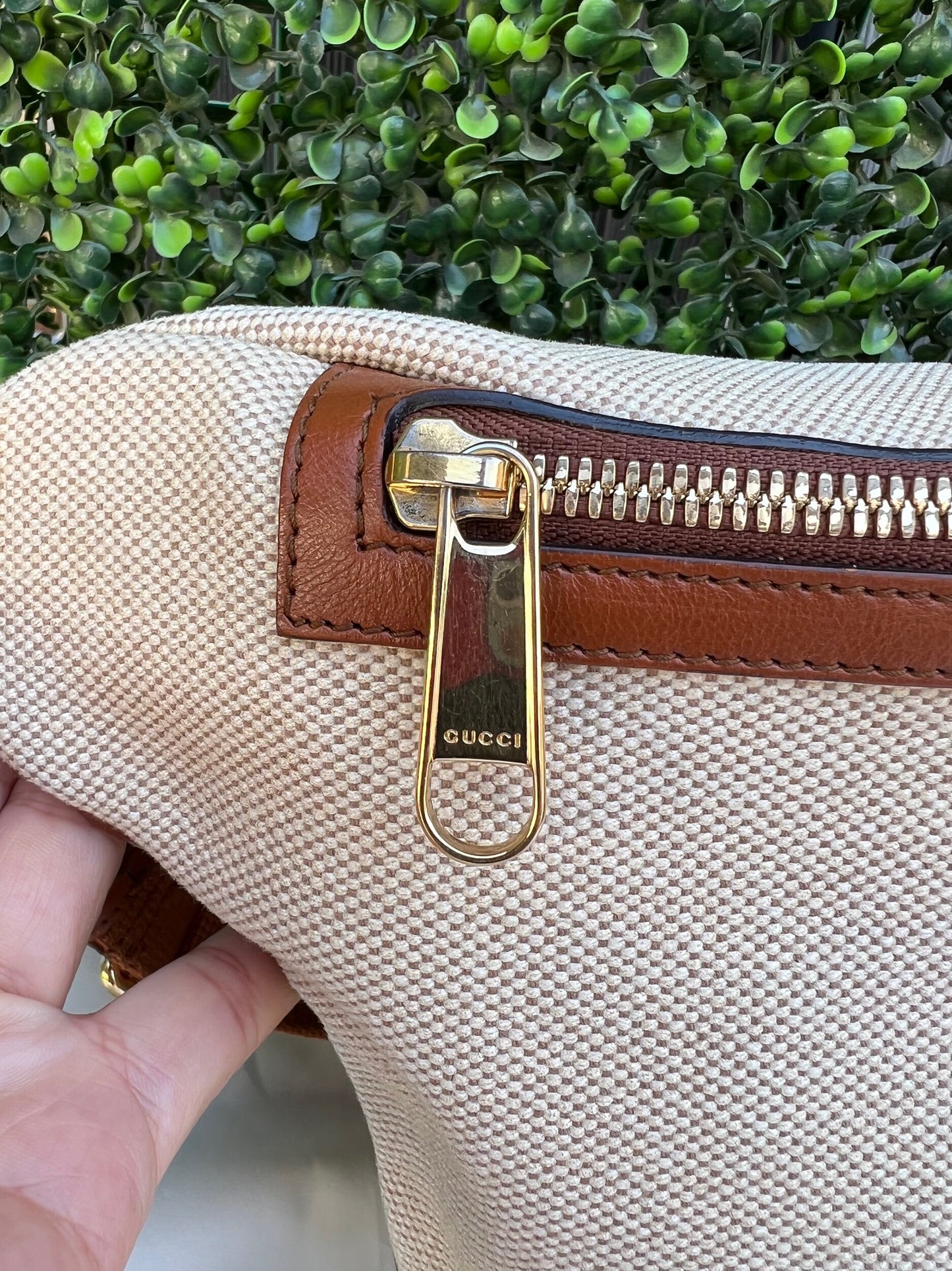 Web Beige Canvas Belt Bag