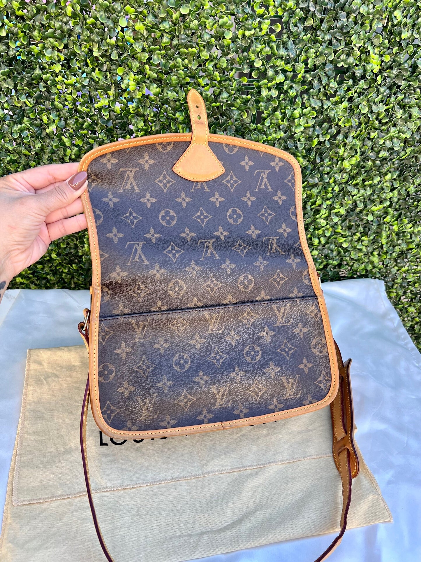 Sologne Crossbody Bag Monogram