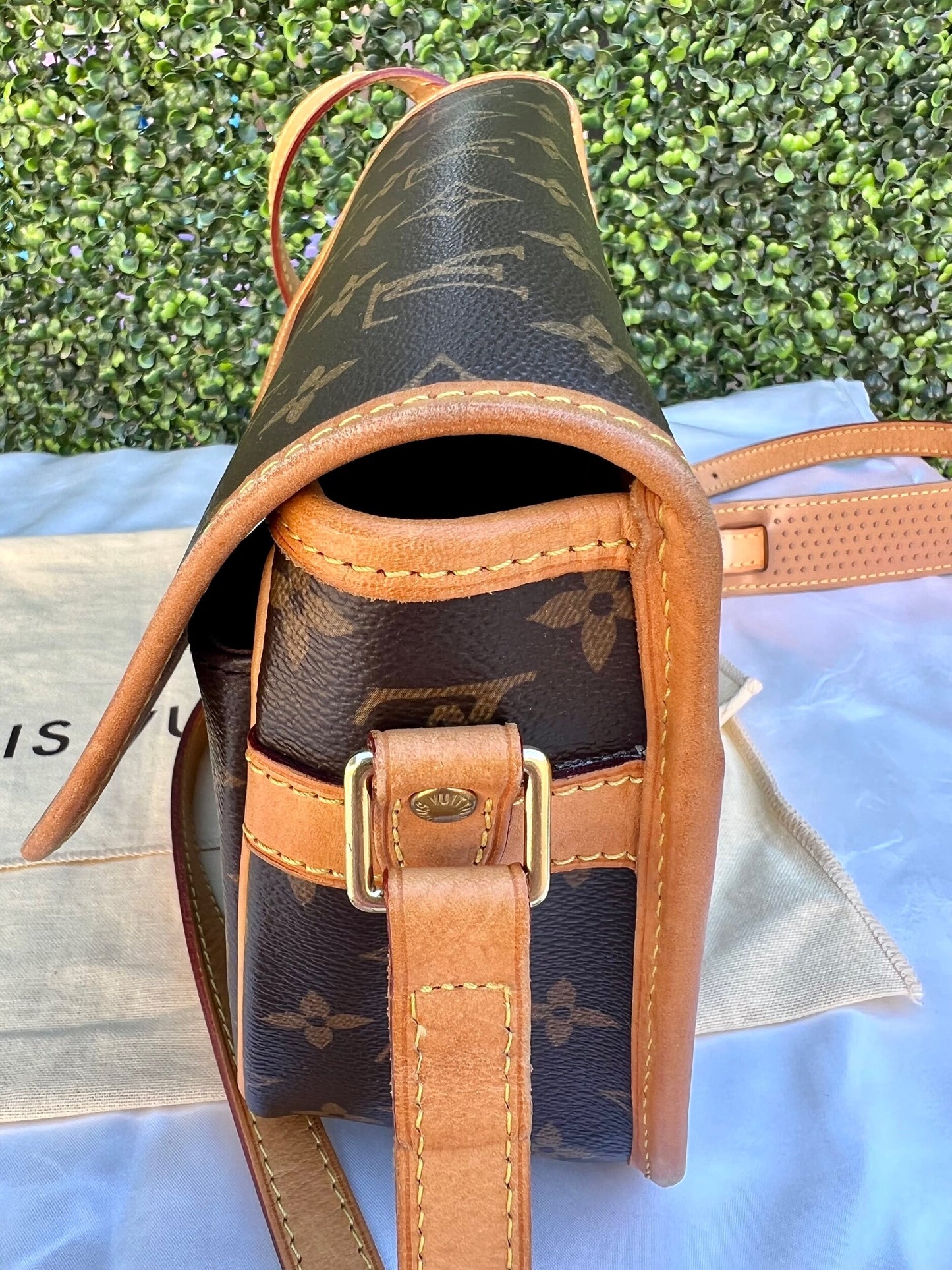 Sologne Crossbody Bag Monogram