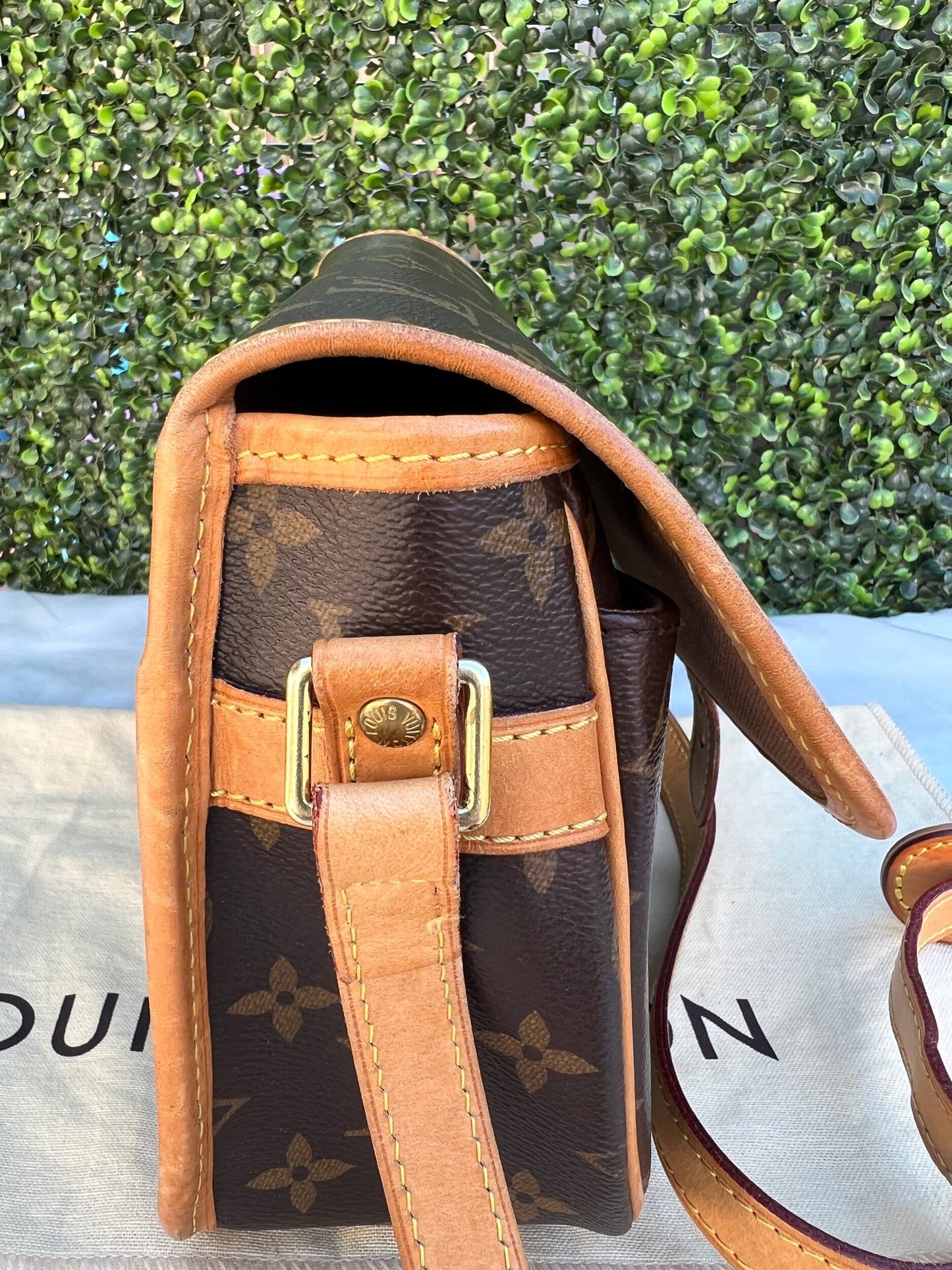 Sologne Crossbody Bag Monogram