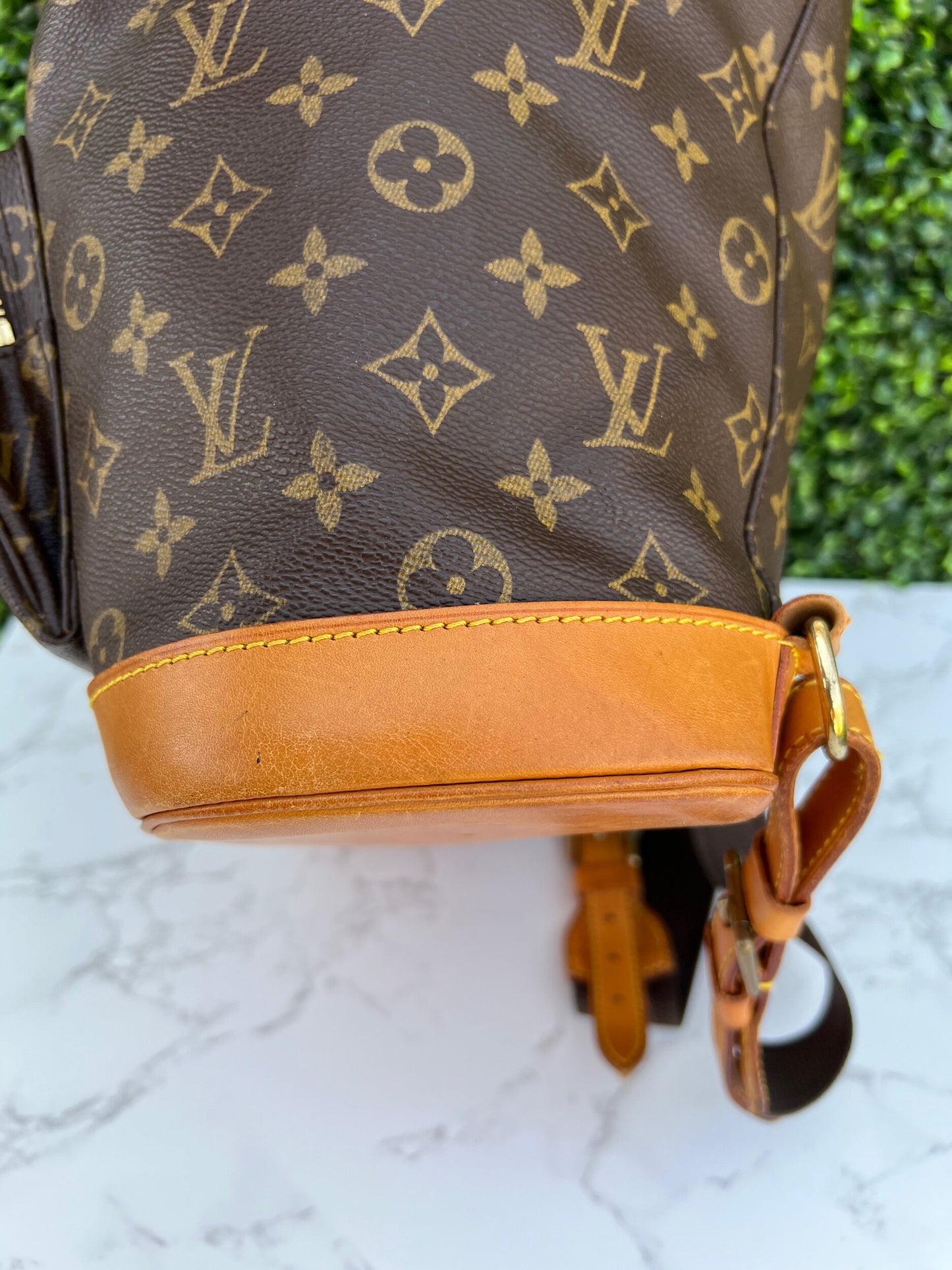 Montsouris GM Backpack Monogram