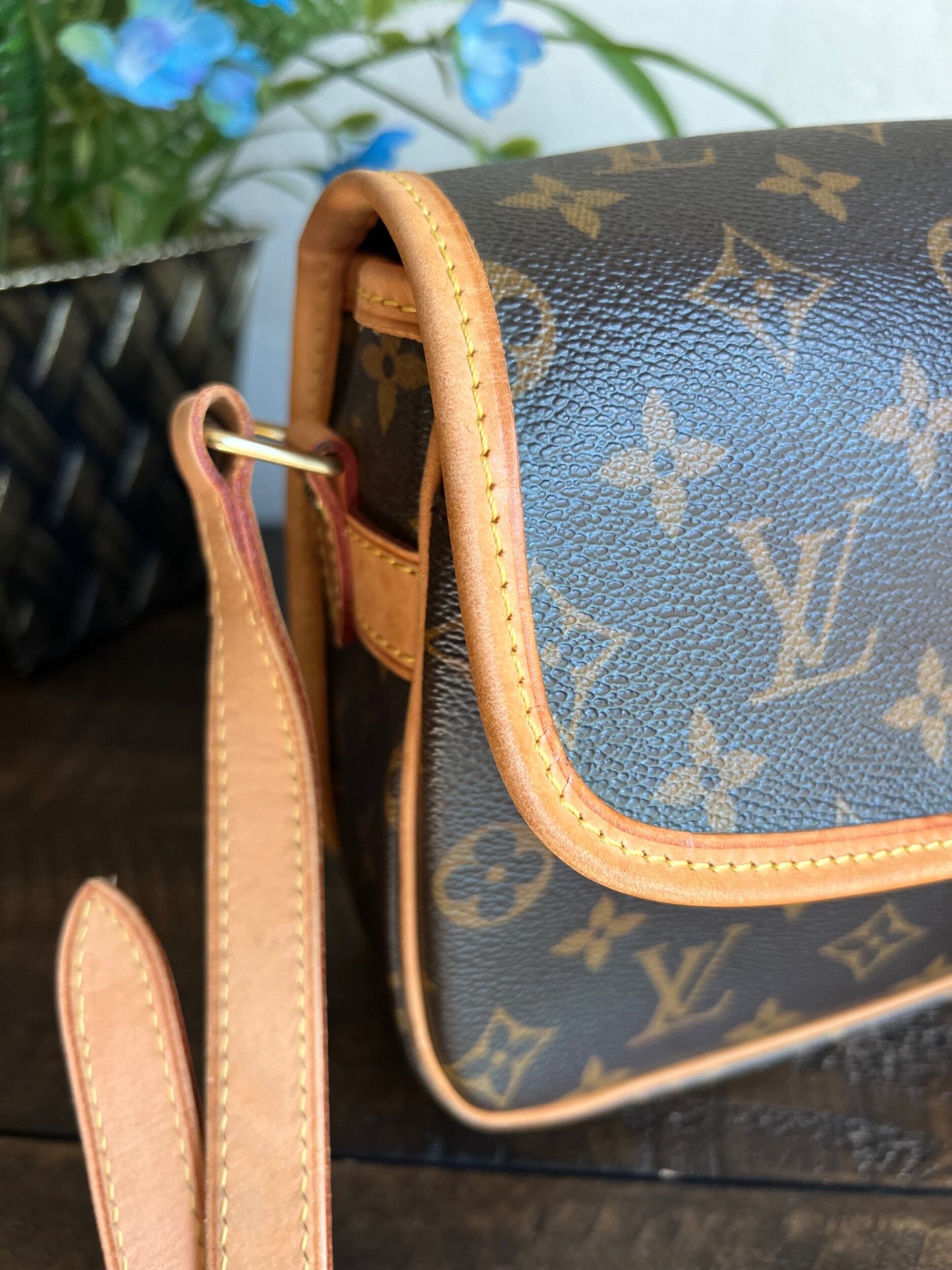 Sologne Adjustable Monogram Canvas Crossbody Bag