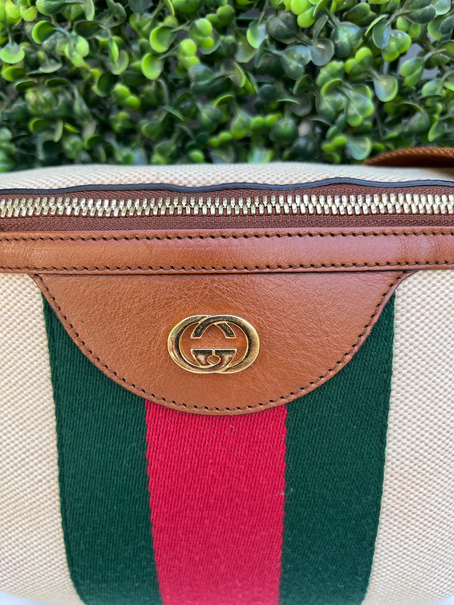 Web Beige Canvas Belt Bag