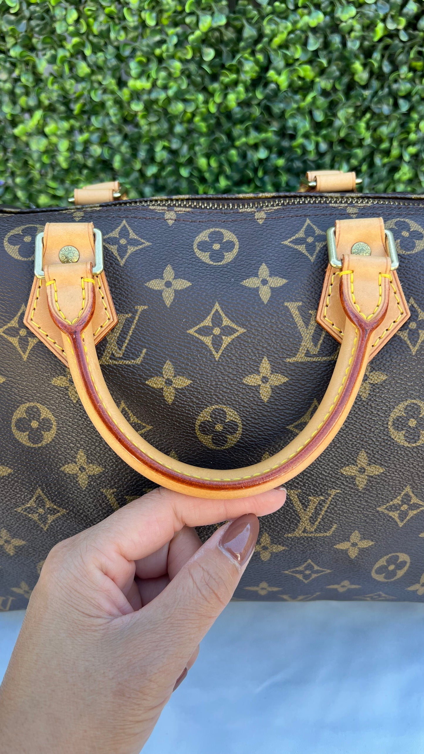 Speedy 30 Monogram Canvas