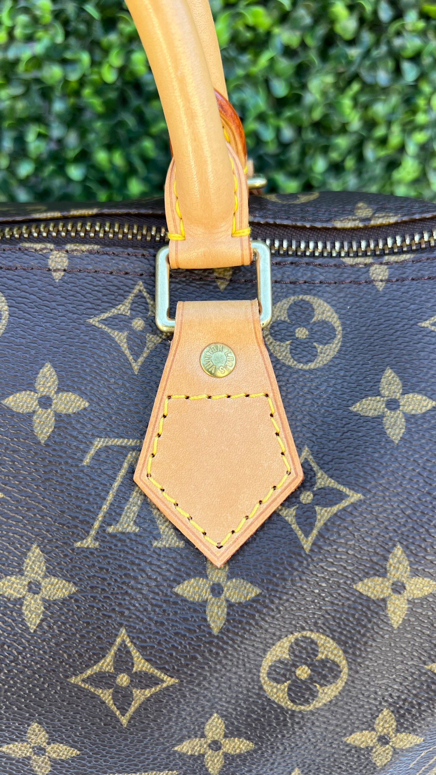 Speedy 30 Monogram Canvas