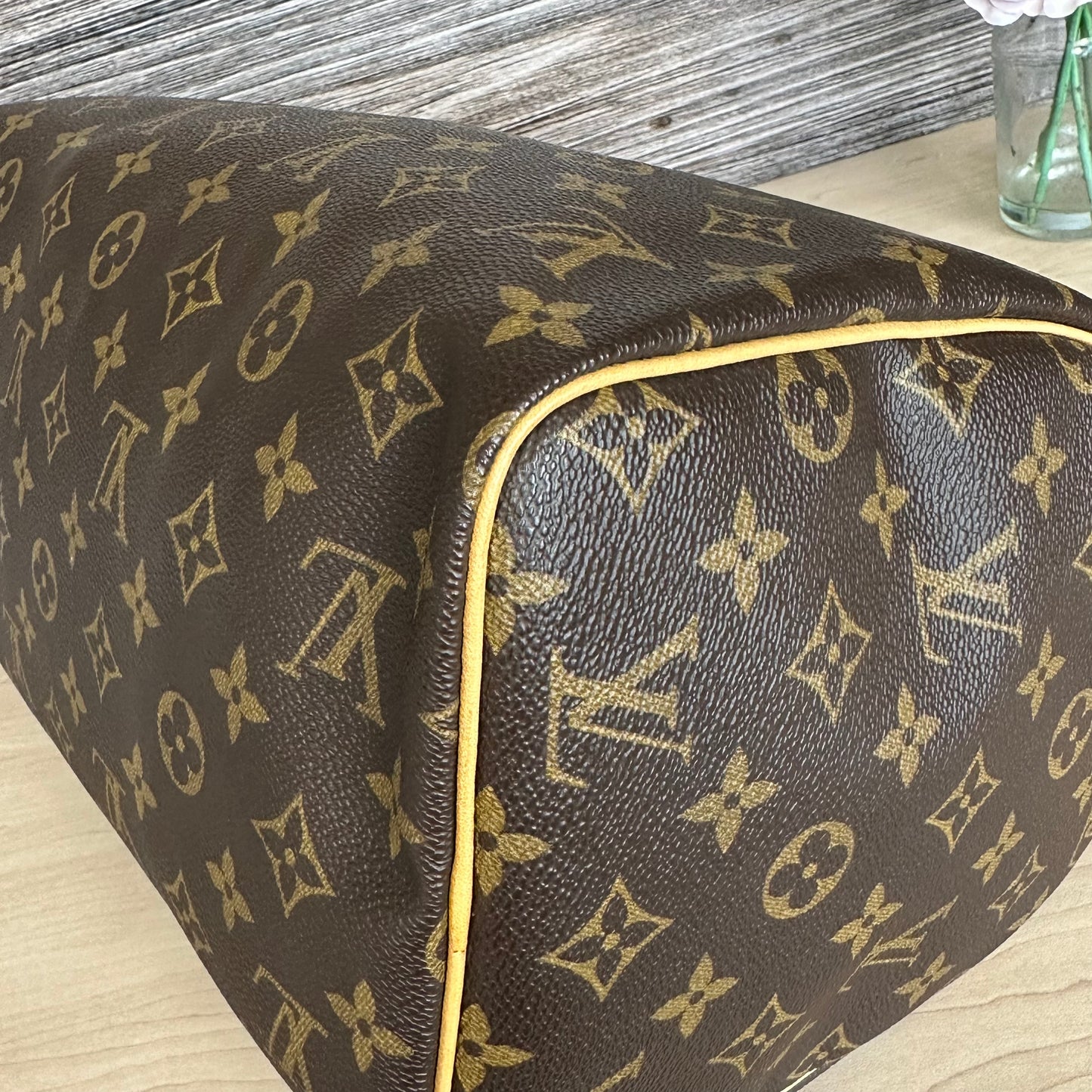 Speedy 30 Monogram Canvas