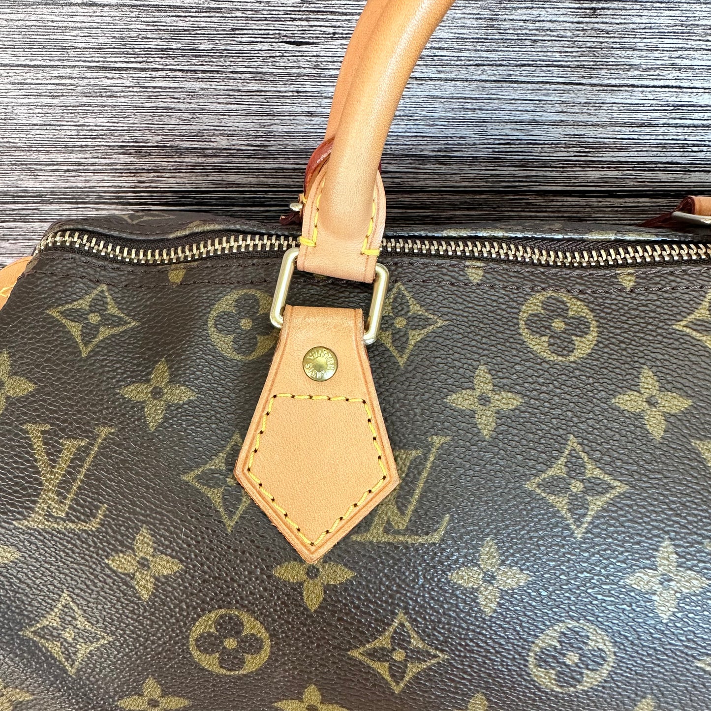 Speedy 30 Monogram Canvas