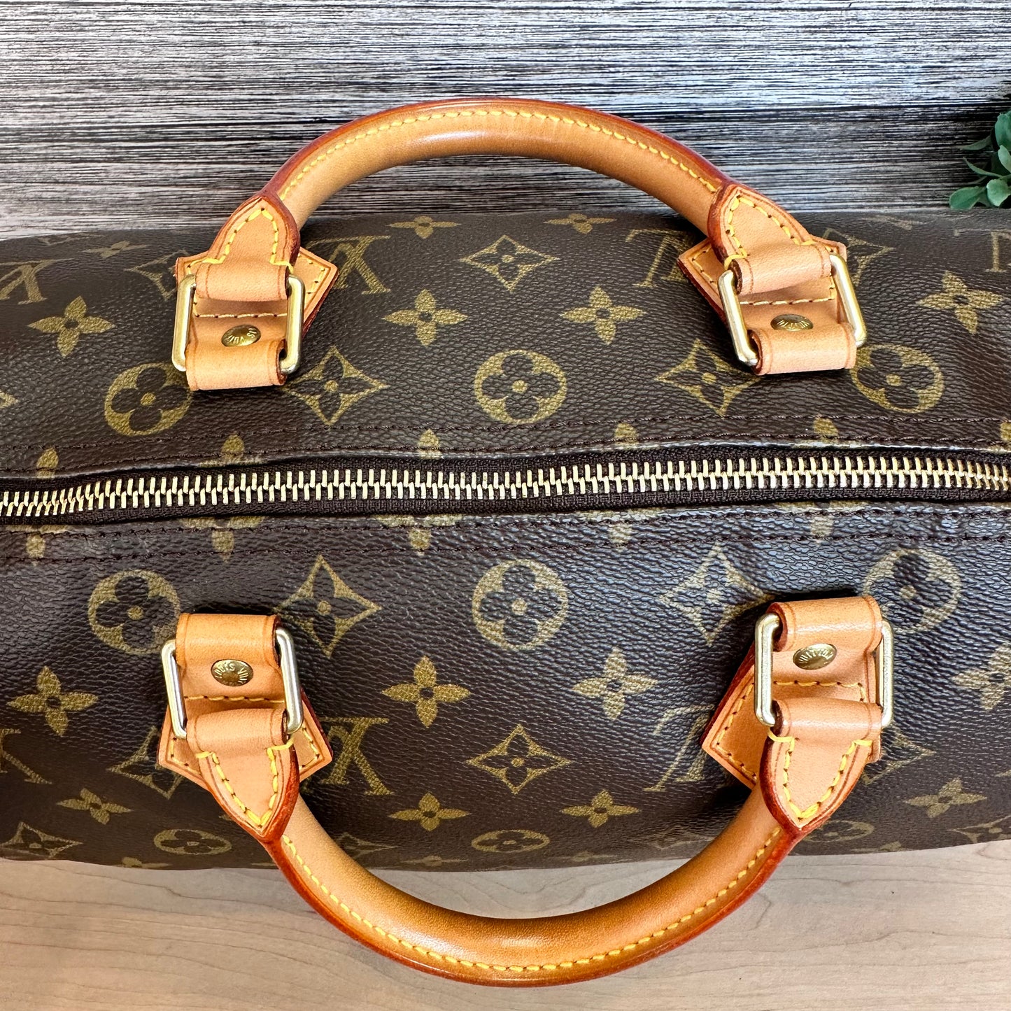 Speedy 30 Monogram Canvas