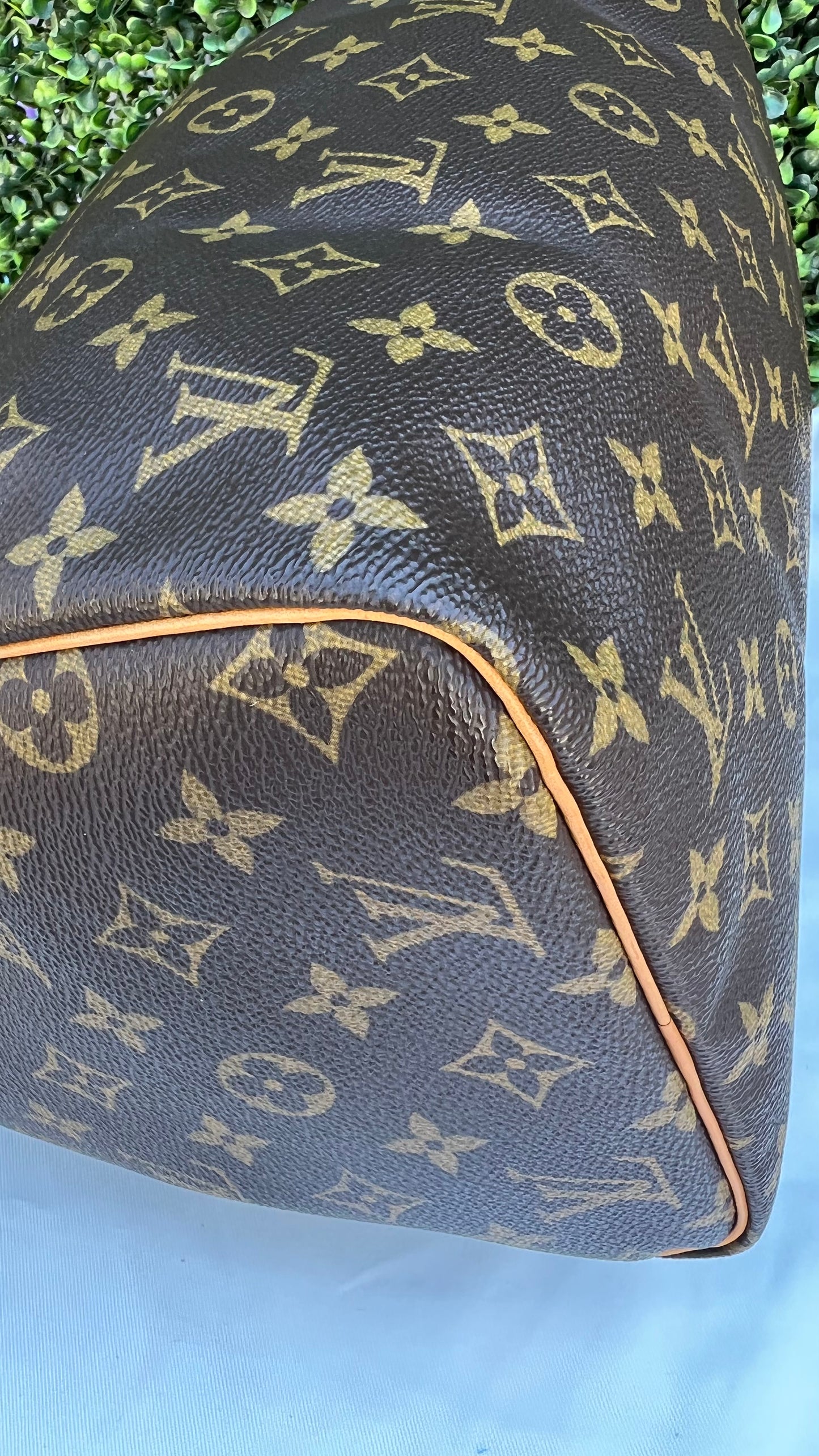 Speedy 30 Monogram Canvas