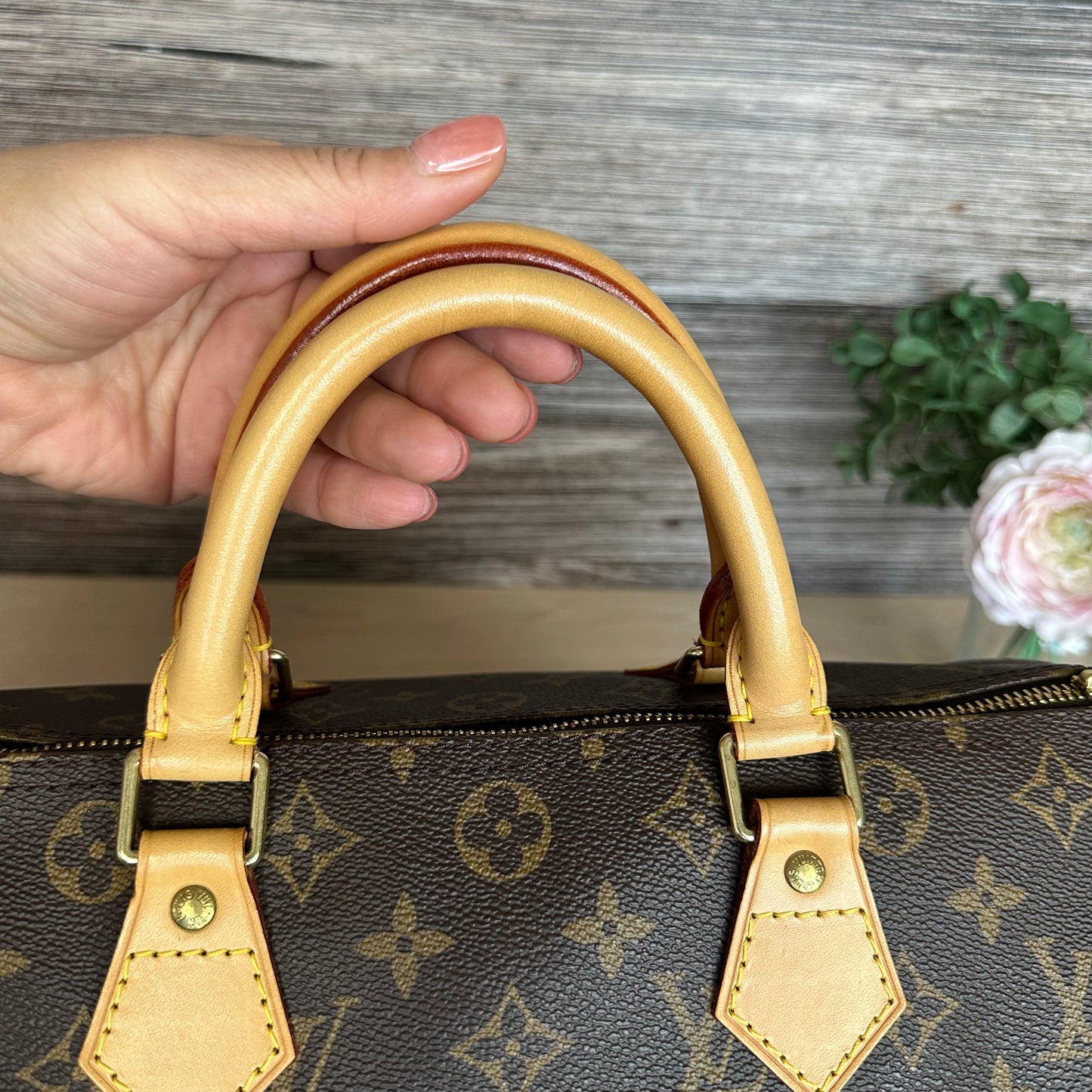 Speedy 30 Monogram Canvas