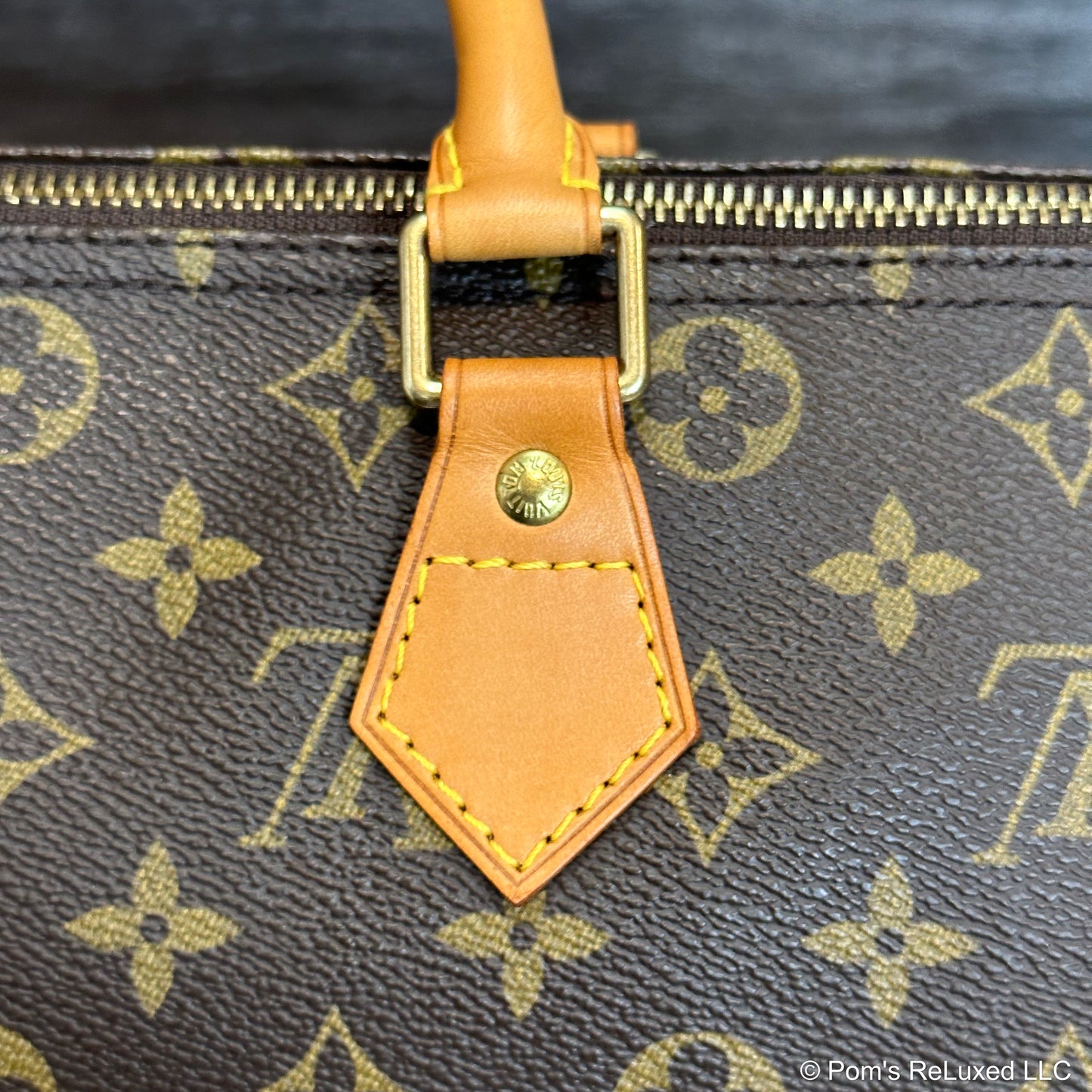 Speedy 30 Monogram Canvas