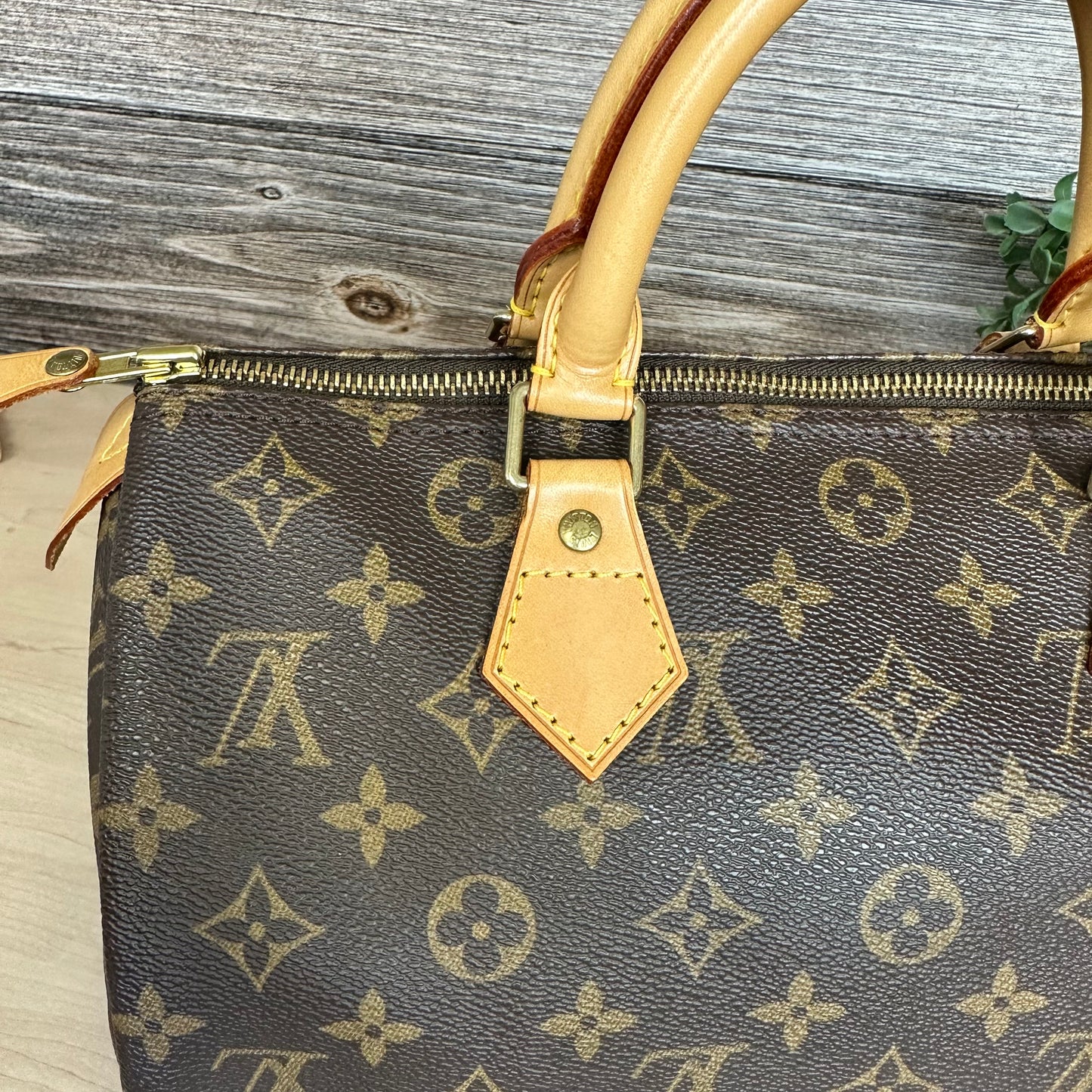 Speedy 30 Monogram Canvas