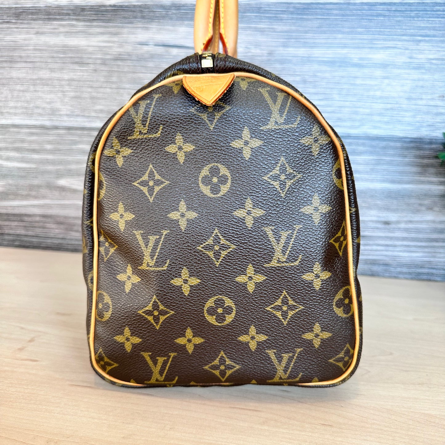 Speedy 30 Monogram Canvas