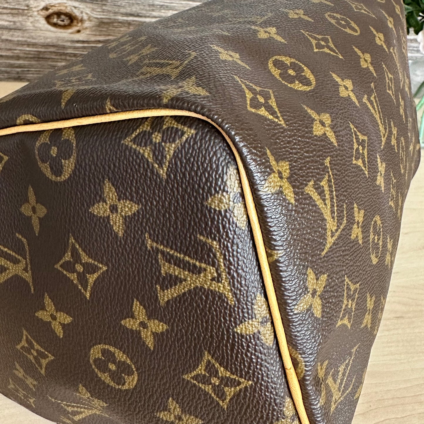 Speedy 30 Monogram Canvas