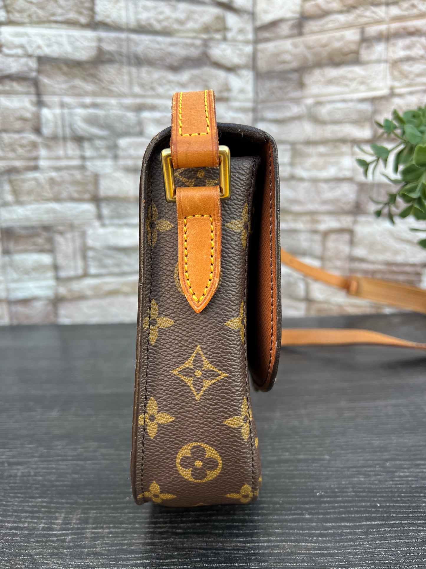 Vintage Saint Cloud MM Crossbody Bag