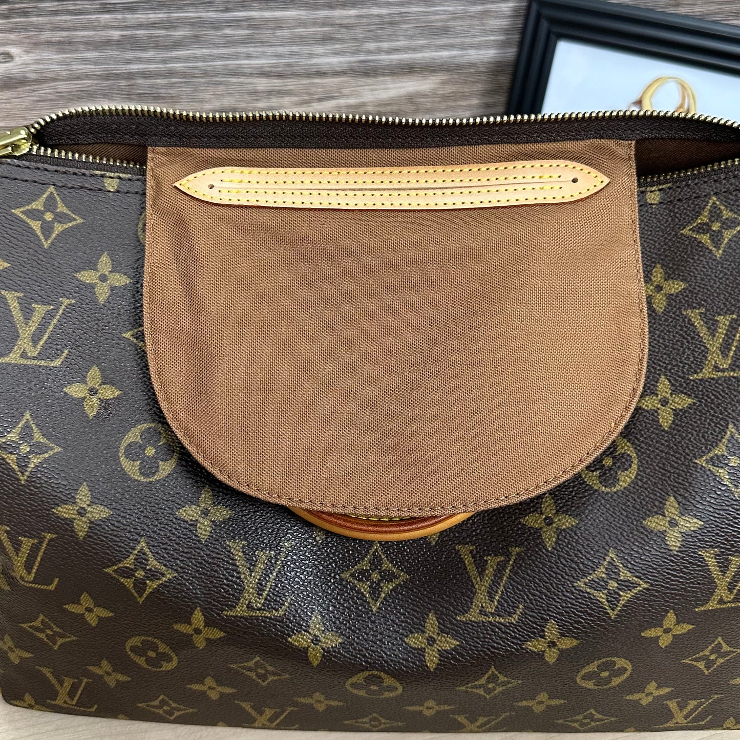 Speedy 30 Monogram Canvas