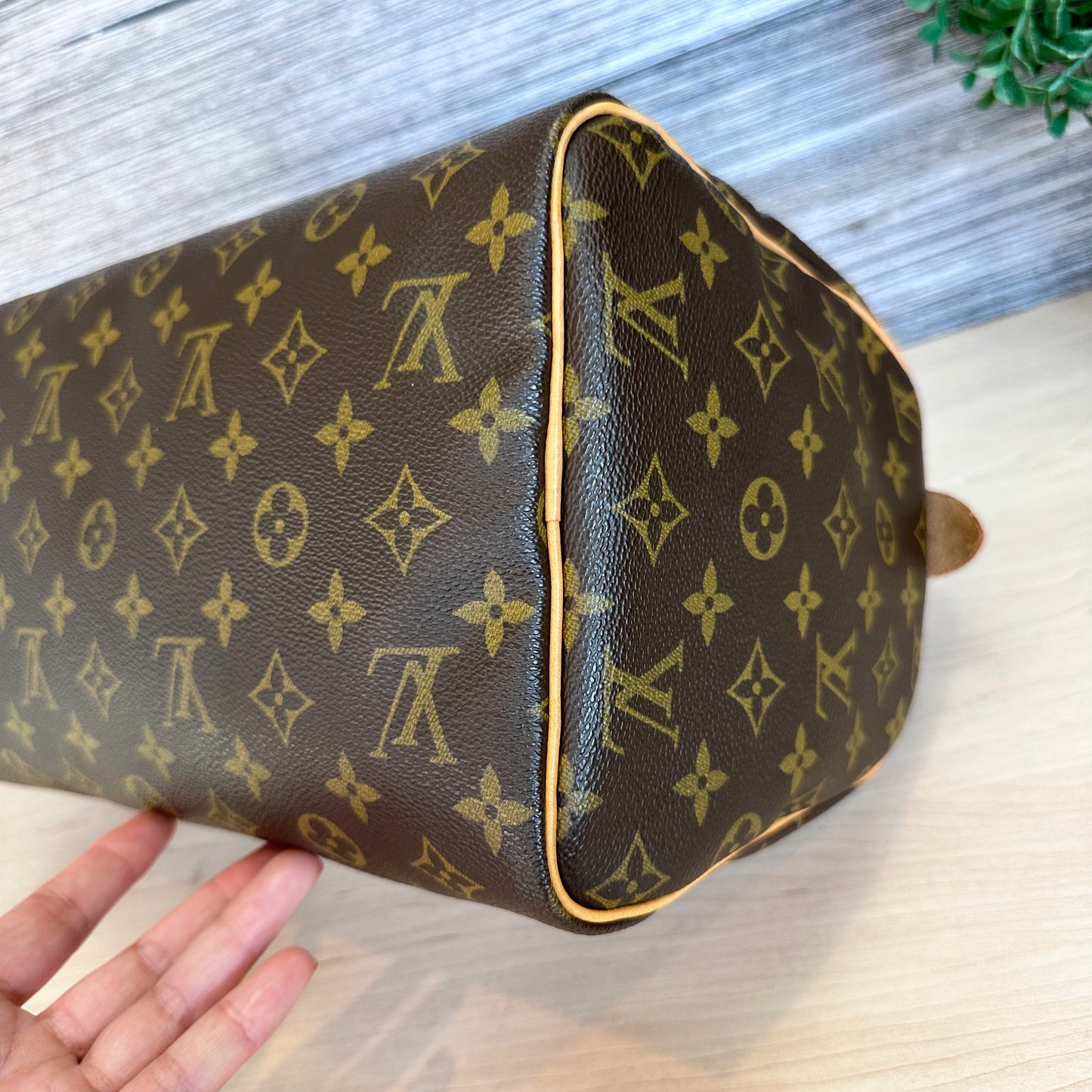 Speedy 30 Monogram Canvas