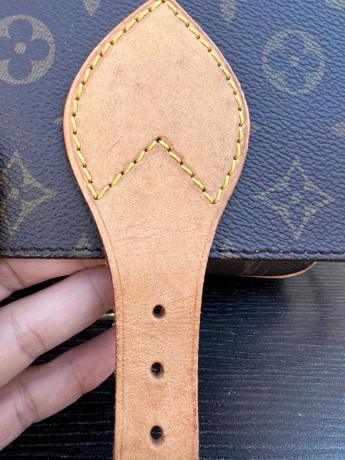 Cartouchiere GM Monogram Crossbody Bag