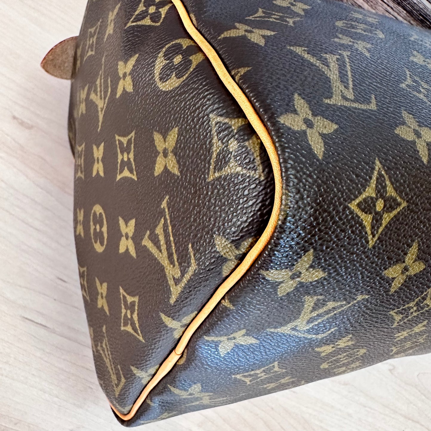 Speedy 30 Monogram Canvas