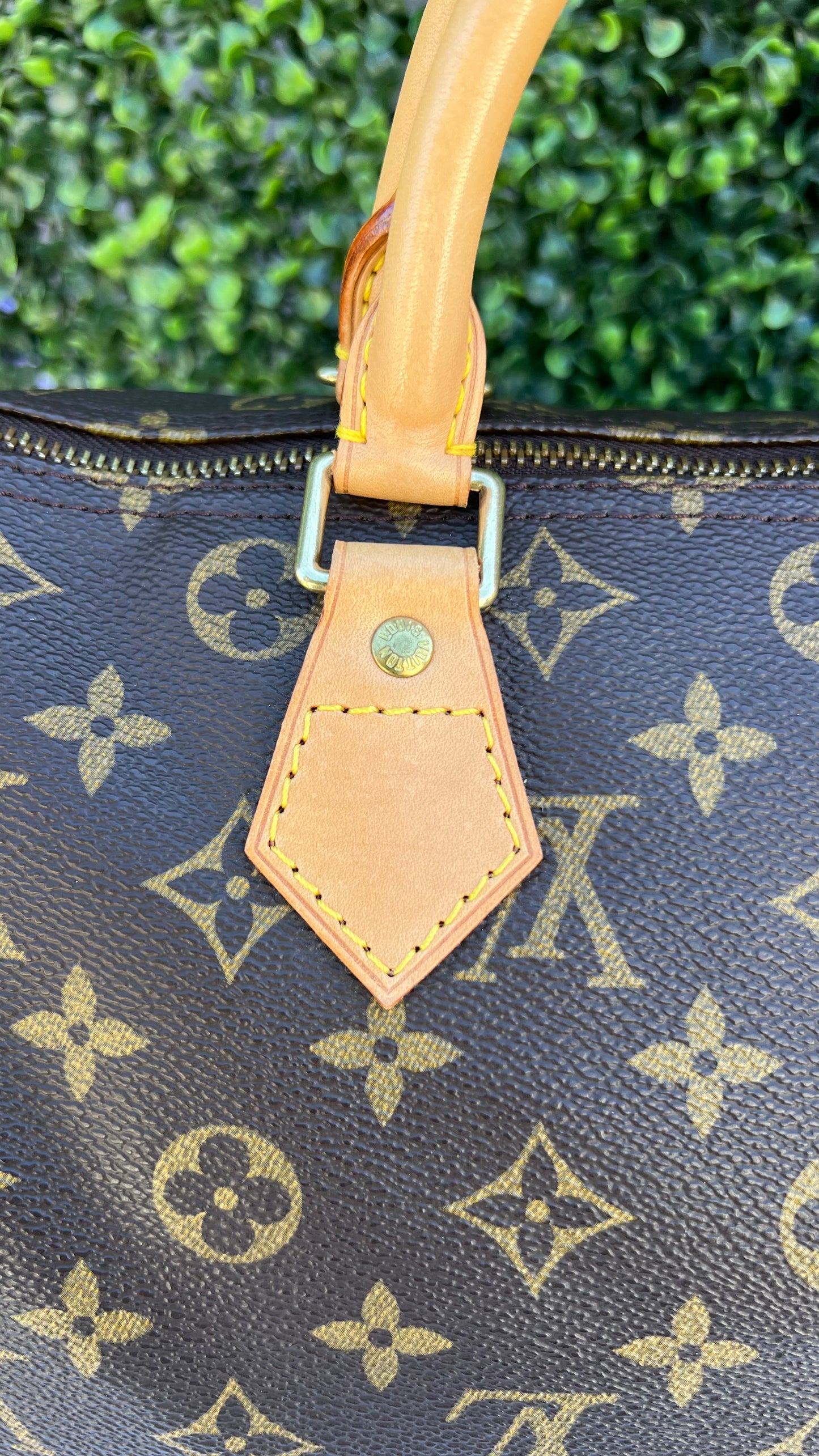Speedy 30 Monogram Canvas