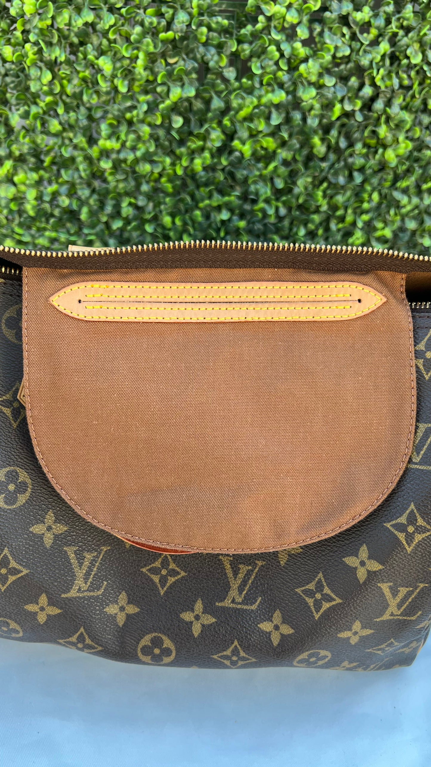 Speedy 30 Monogram Canvas