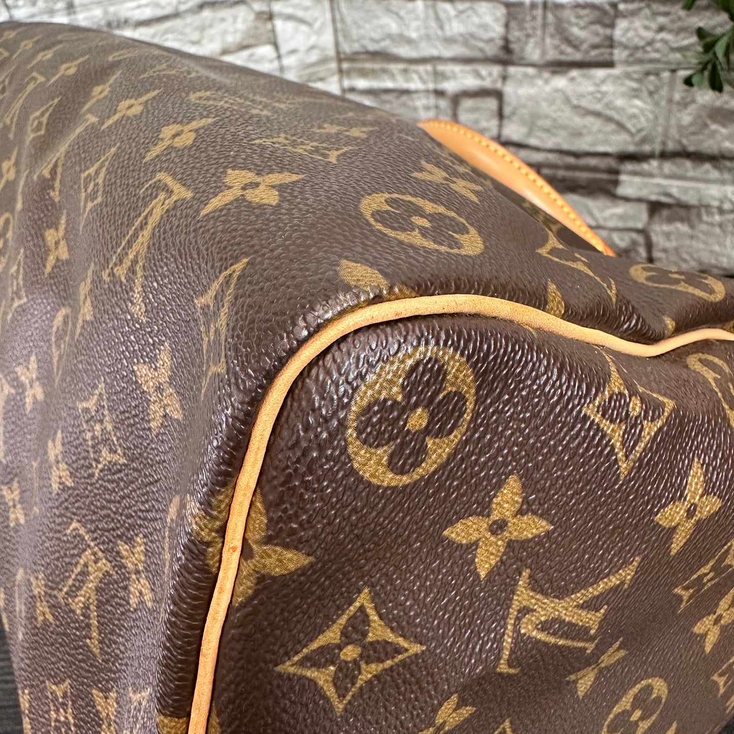 Speedy 35 Monogram Canvas