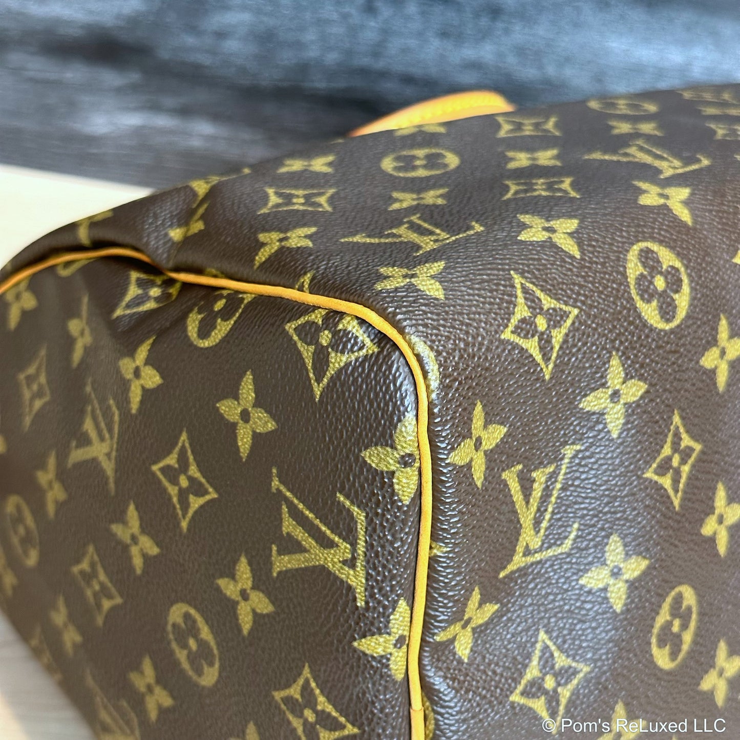 Speedy 30 Monogram Canvas