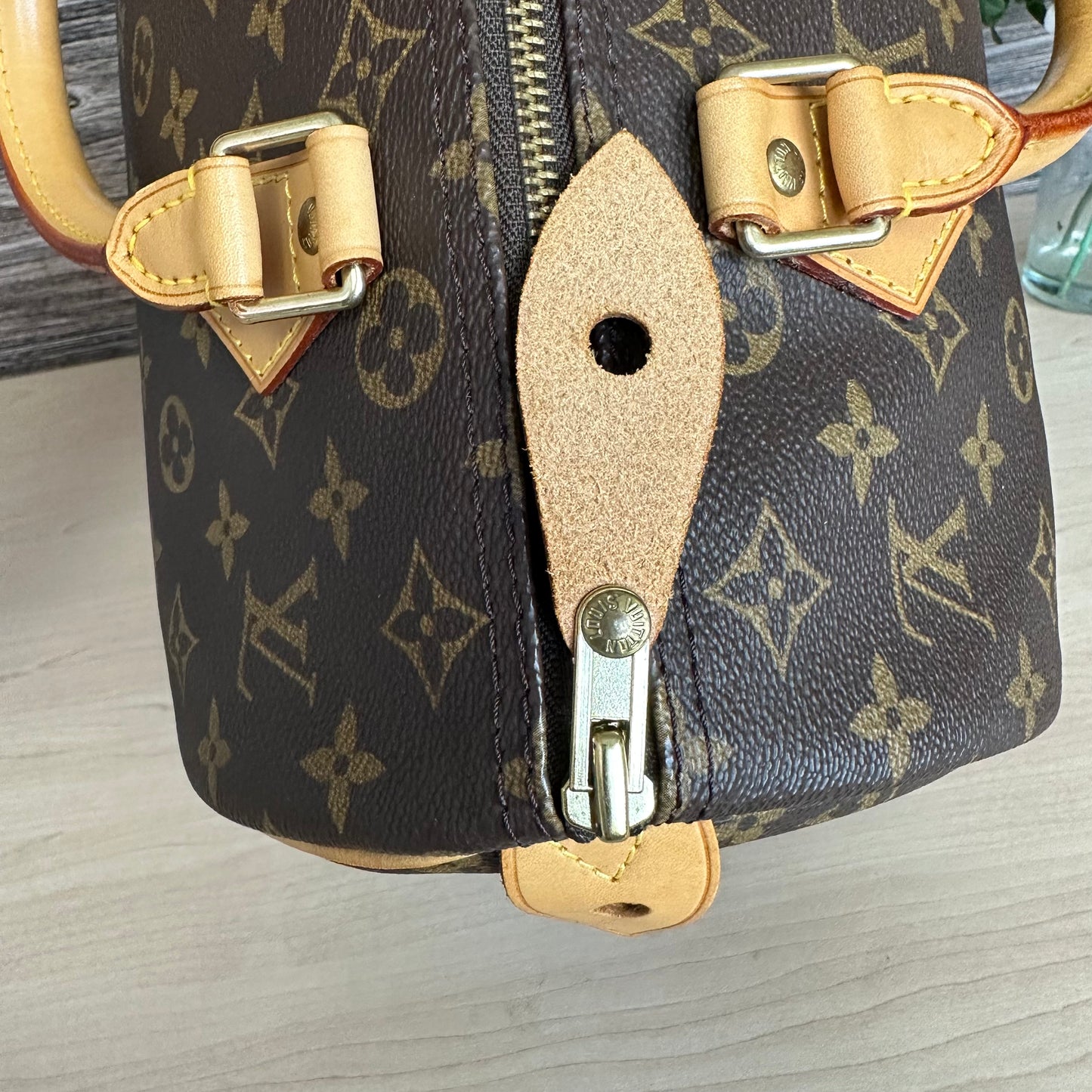 Speedy 30 Monogram Canvas