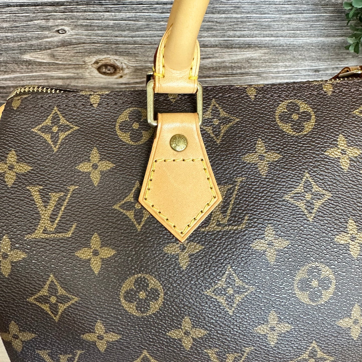 Speedy 30 Monogram Canvas