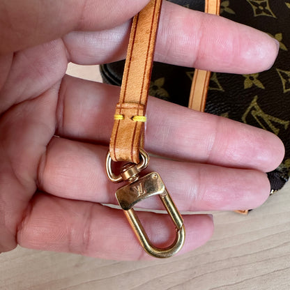 Pochette Accessories Monogram Canvas