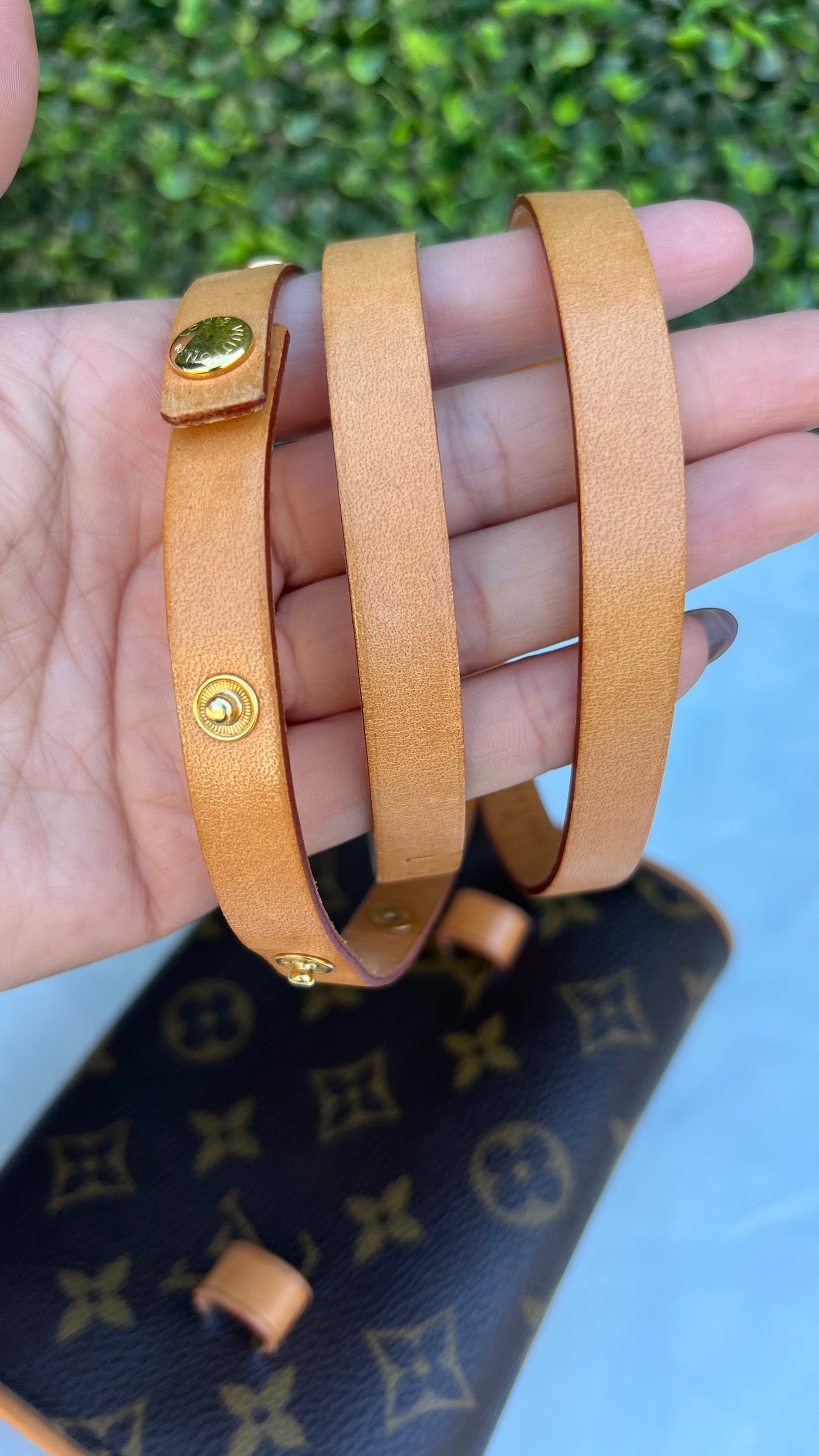 Florentine Pochette Bag Monogram Canvas