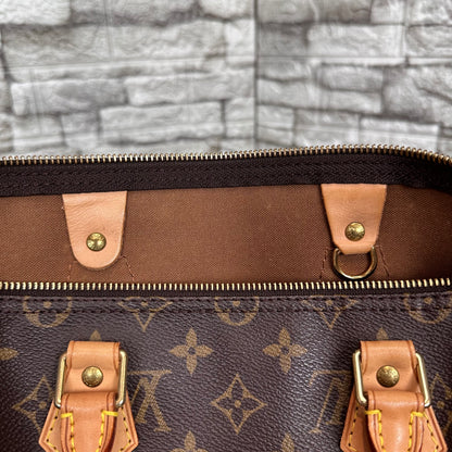 Speedy 35 Monogram Canvas