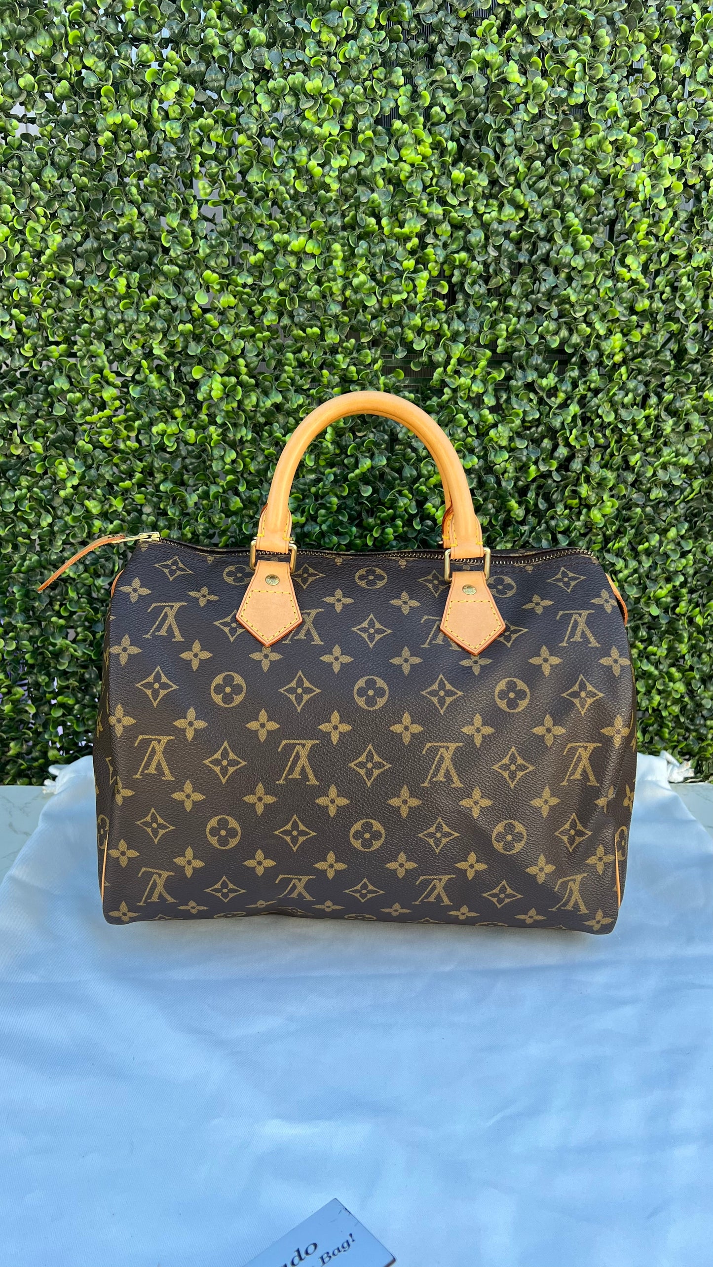 Speedy 30 Monogram Canvas