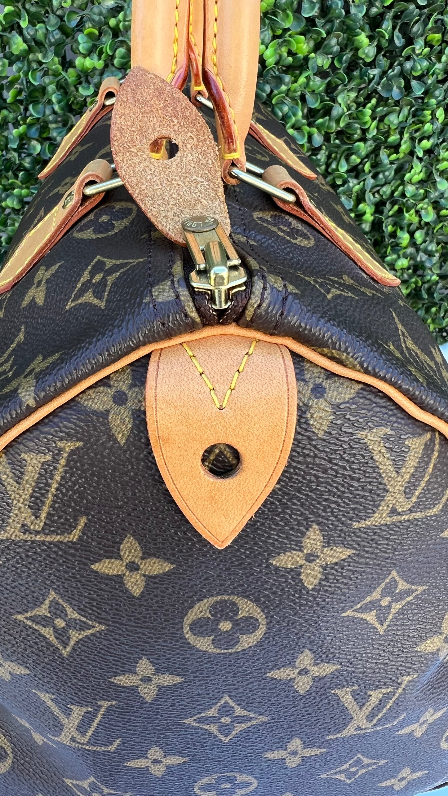 Speedy 30 Monogram Canvas