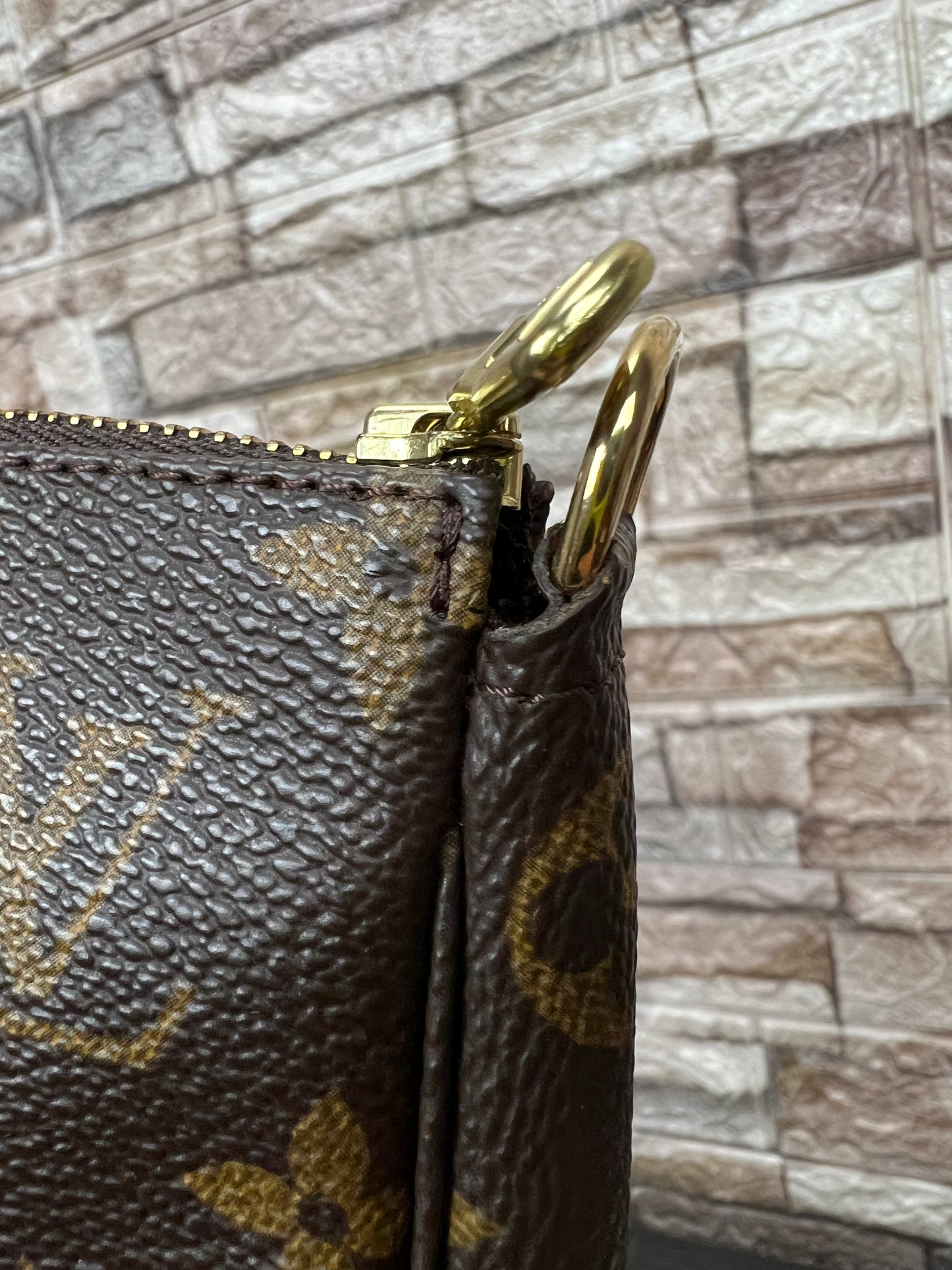 Pochette Accessories Monogram Canvas