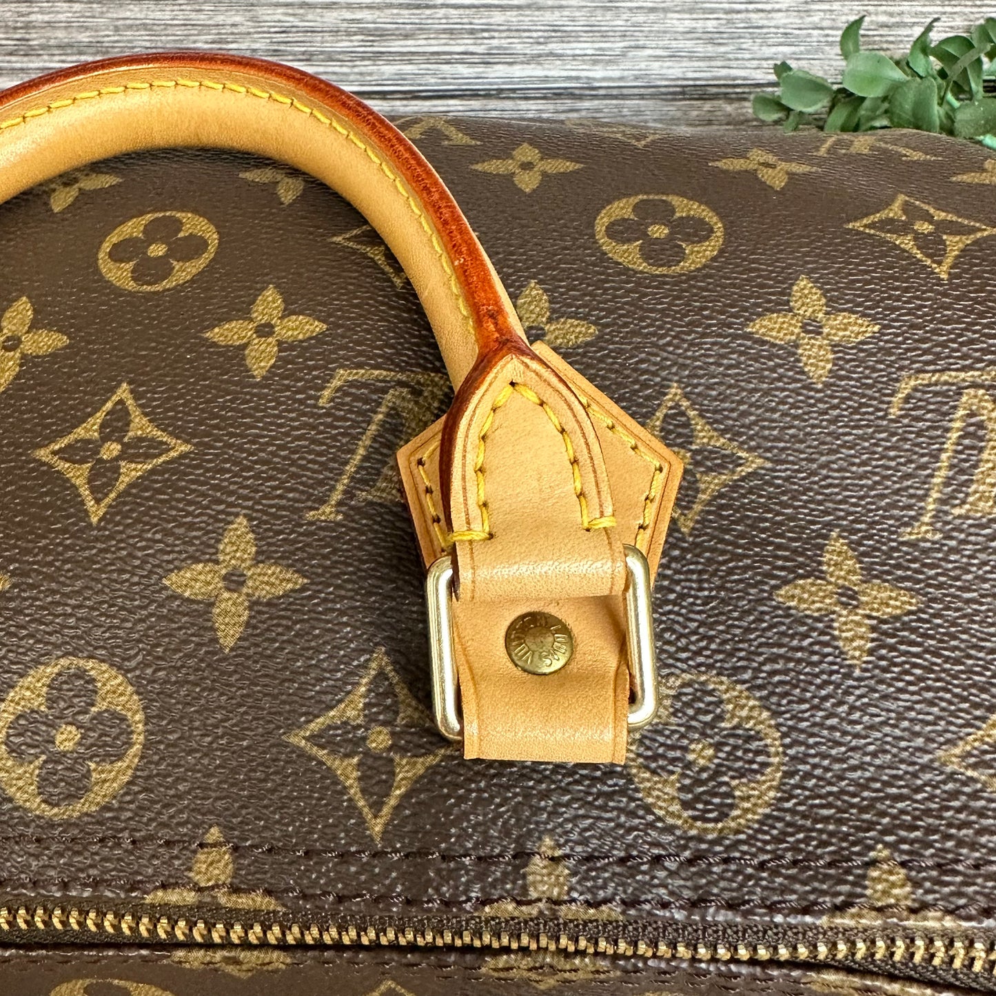 Speedy 30 Monogram Canvas