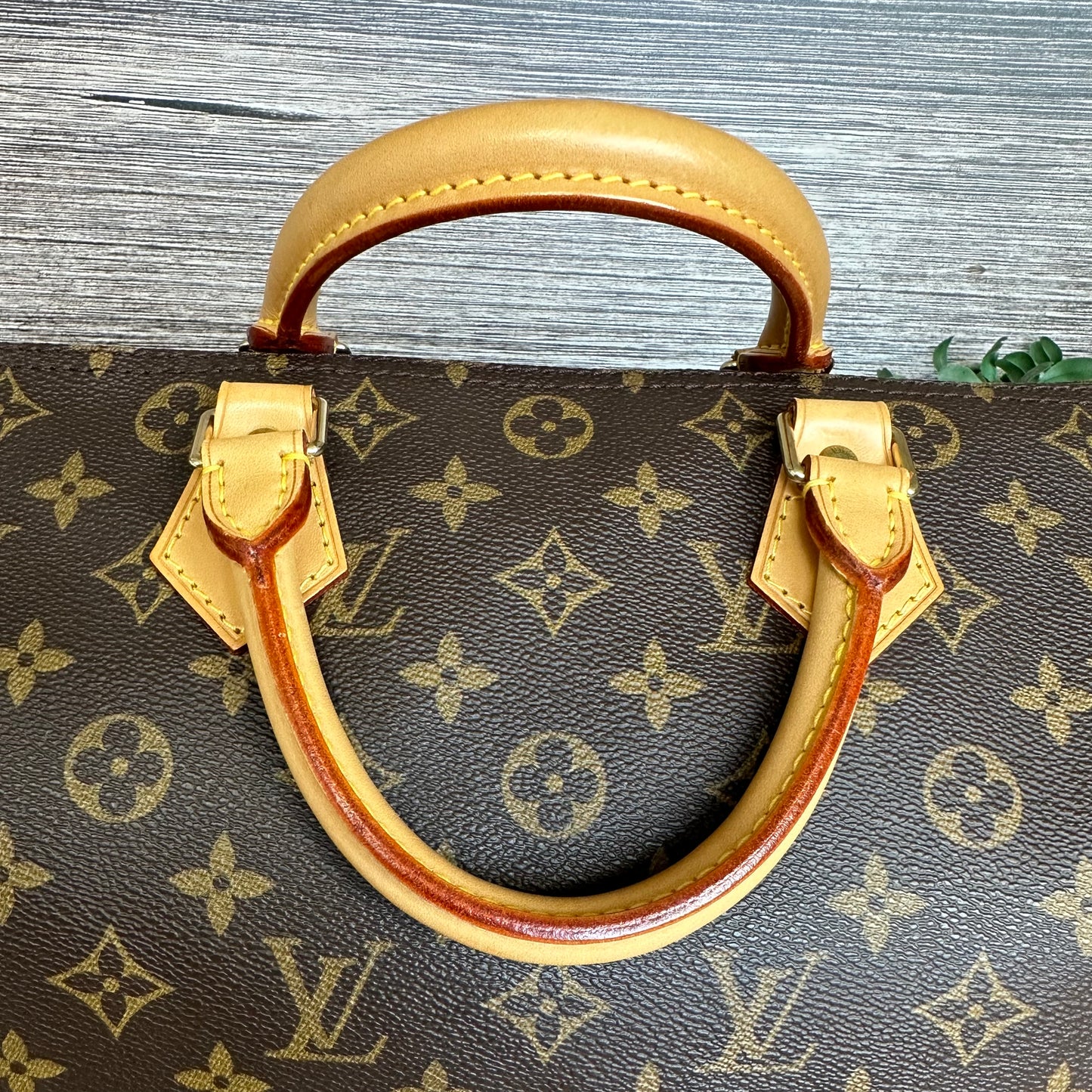 Speedy 30 Monogram Canvas