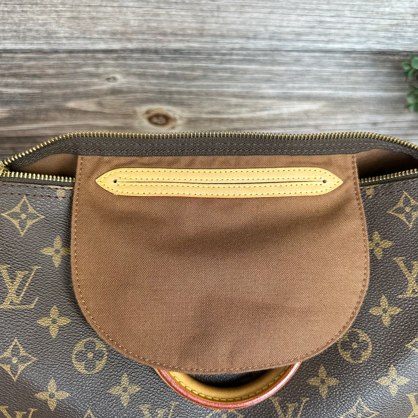 Speedy 30 Monogram Canvas