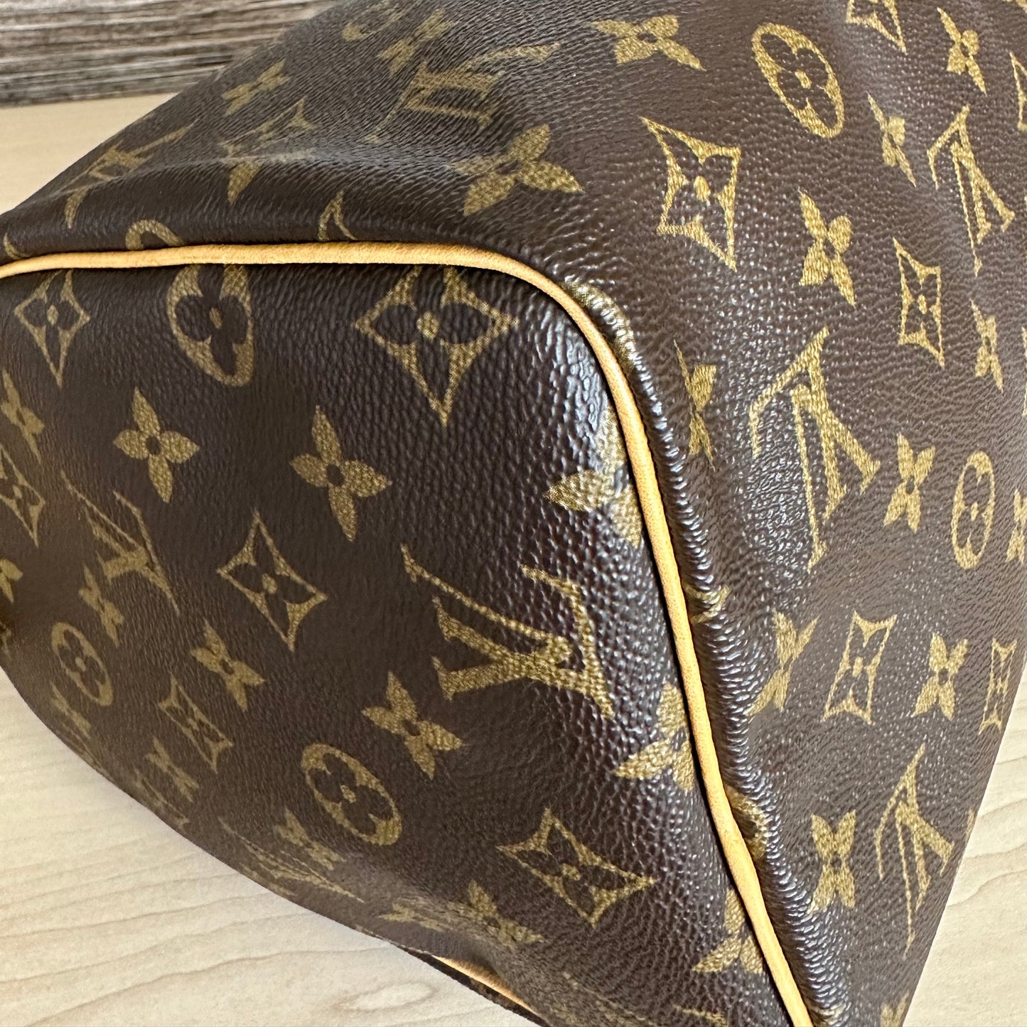 Speedy 30 Monogram Canvas