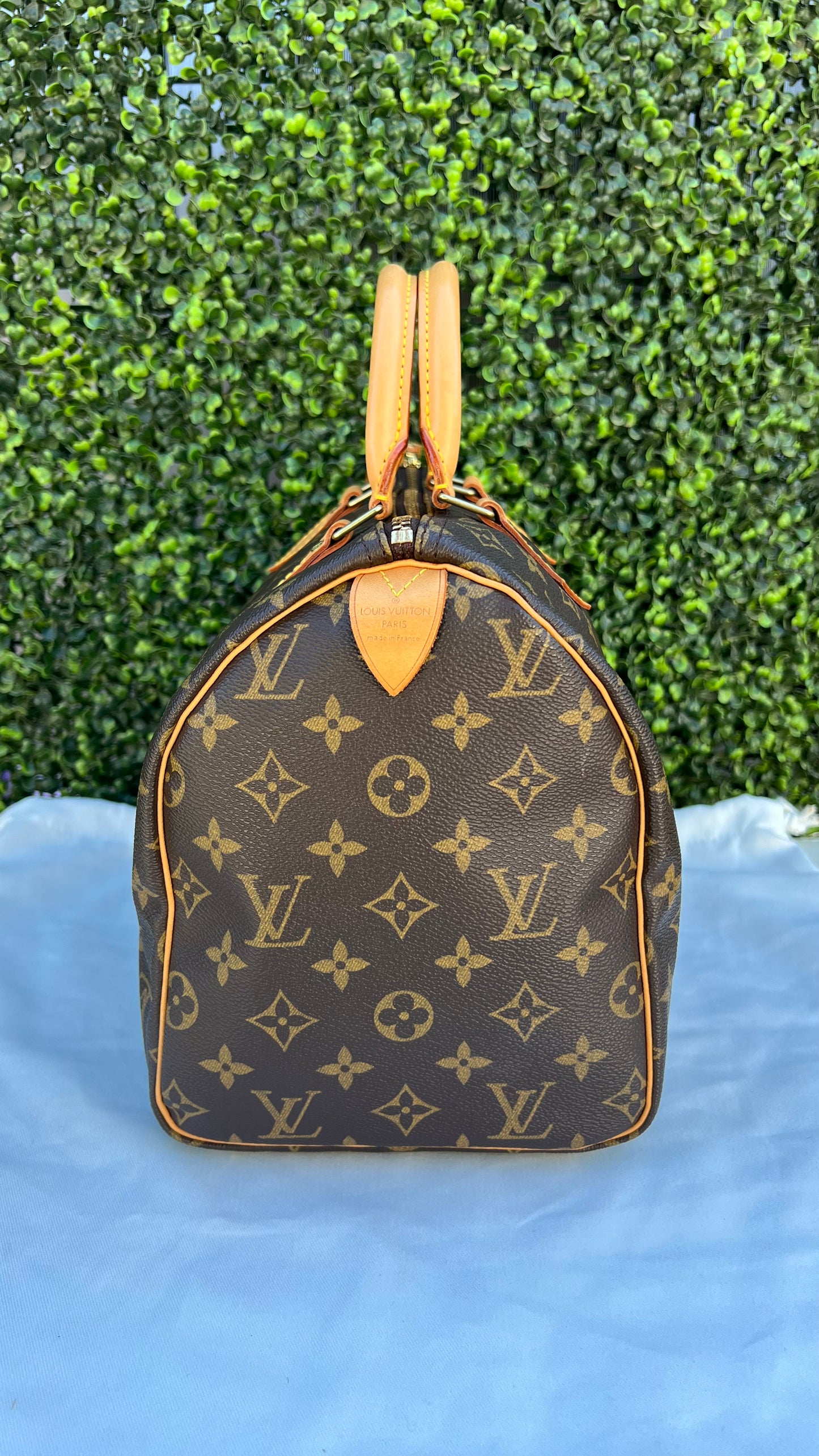 Speedy 30 Monogram Canvas